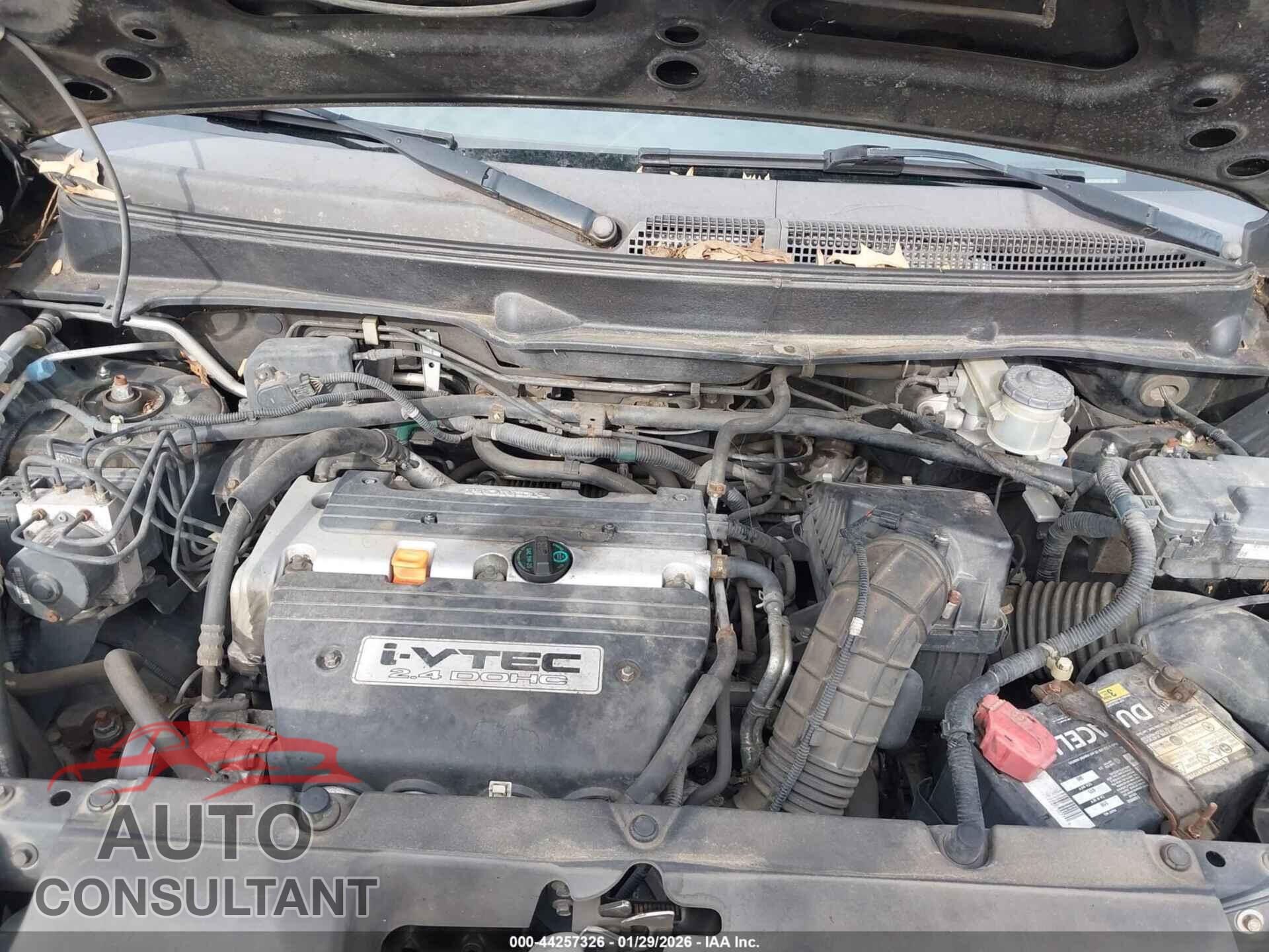 HONDA ELEMENT 2009 - 5J6YH27779L003235