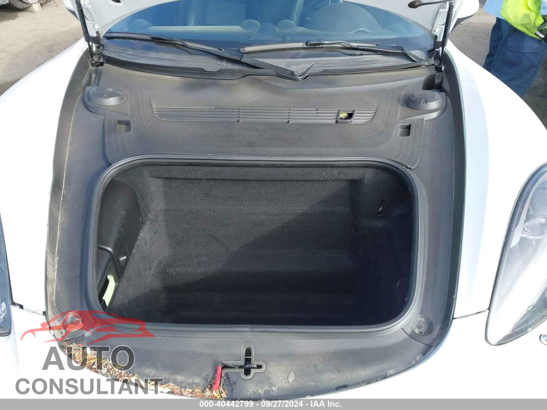 PORSCHE CAYMAN 2017 - WP0AA2A84HS270771