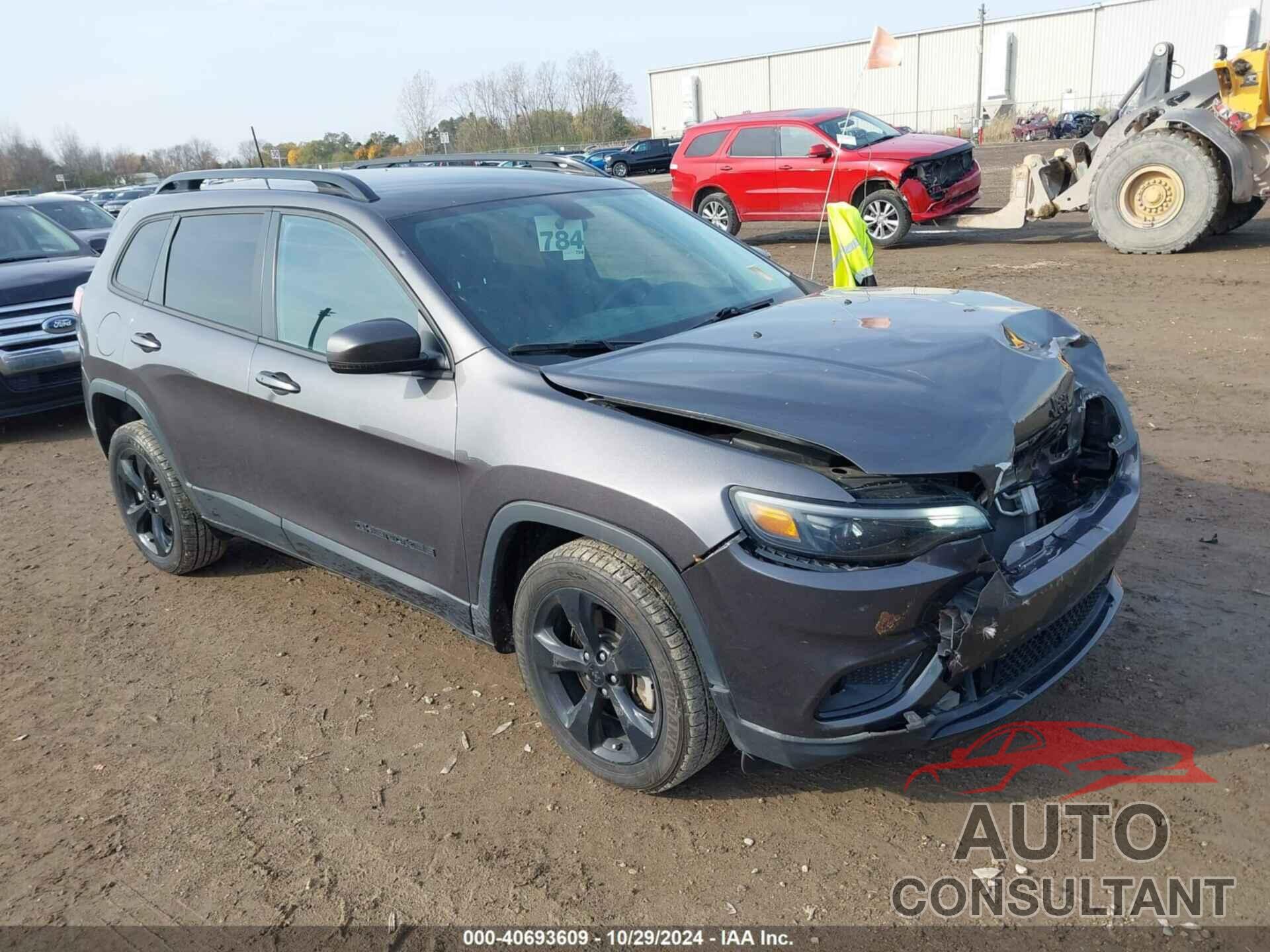 JEEP CHEROKEE 2019 - 1C4PJLLB3KD365620