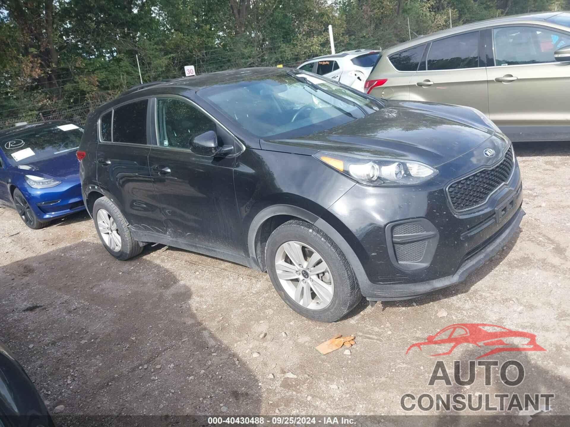 KIA SPORTAGE 2017 - KNDPM3AC0H7101619