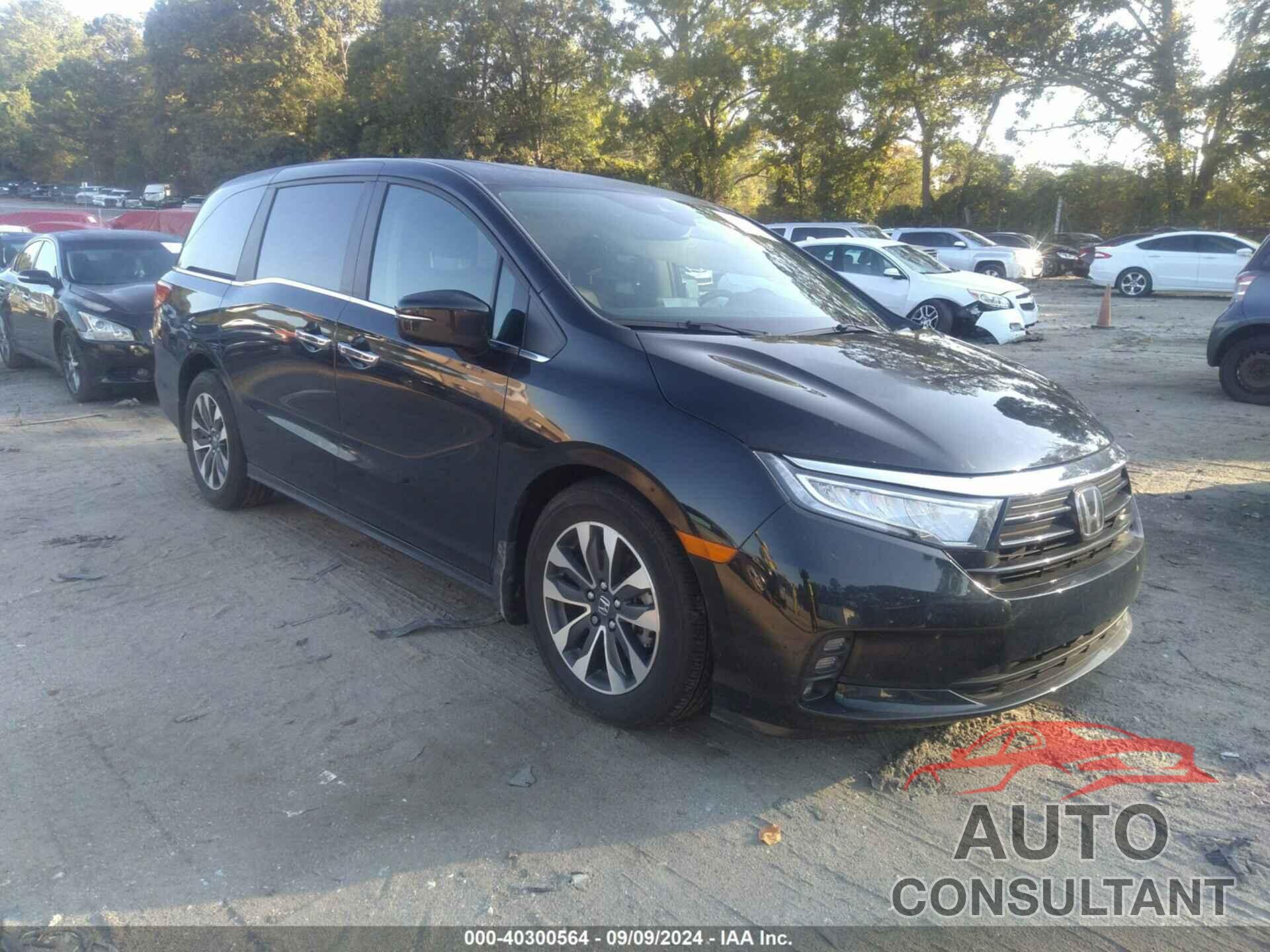 HONDA ODYSSEY 2023 - 5FNRL6H60PB068577