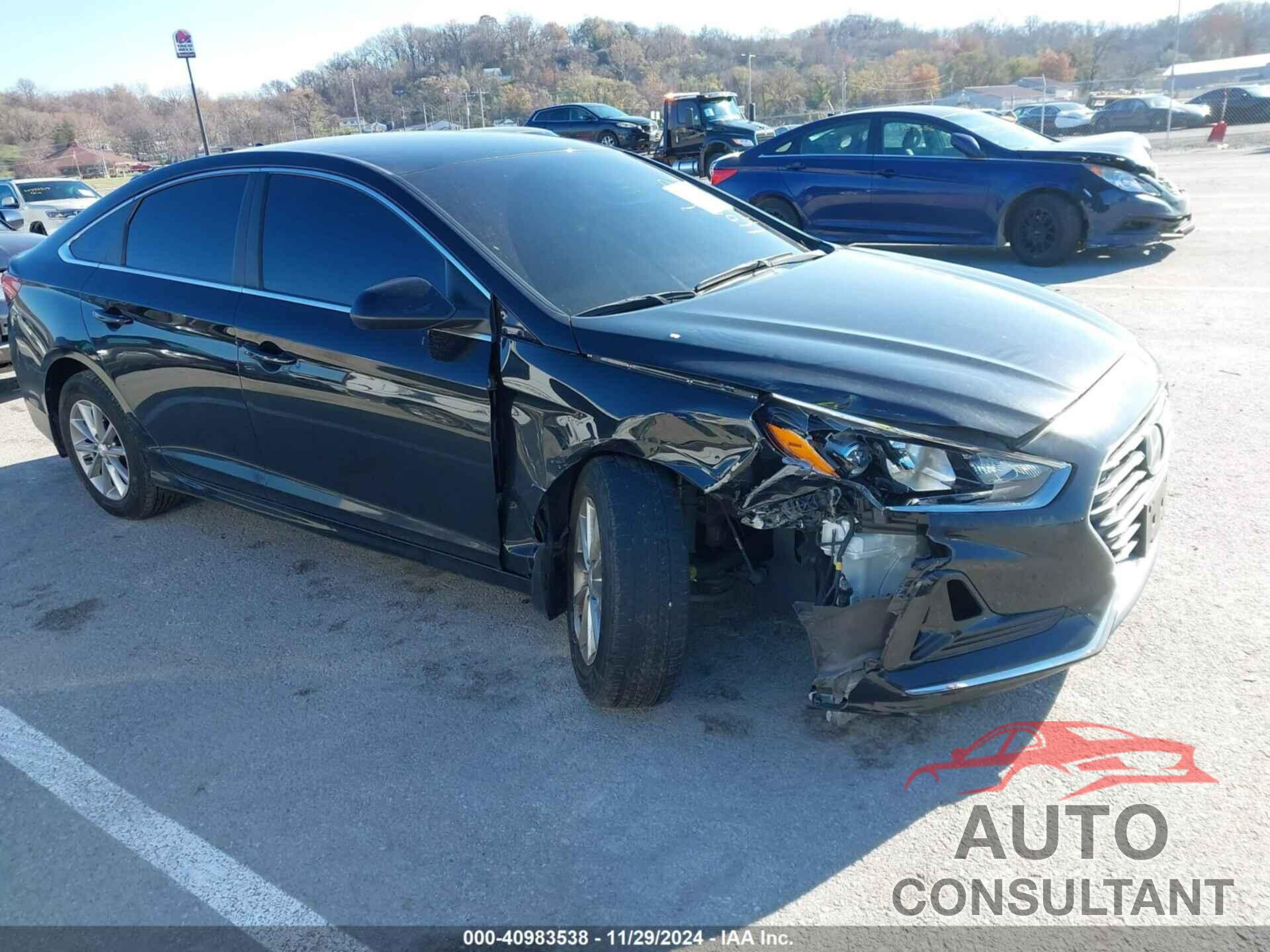 HYUNDAI SONATA 2019 - 5NPE24AF8KH748544