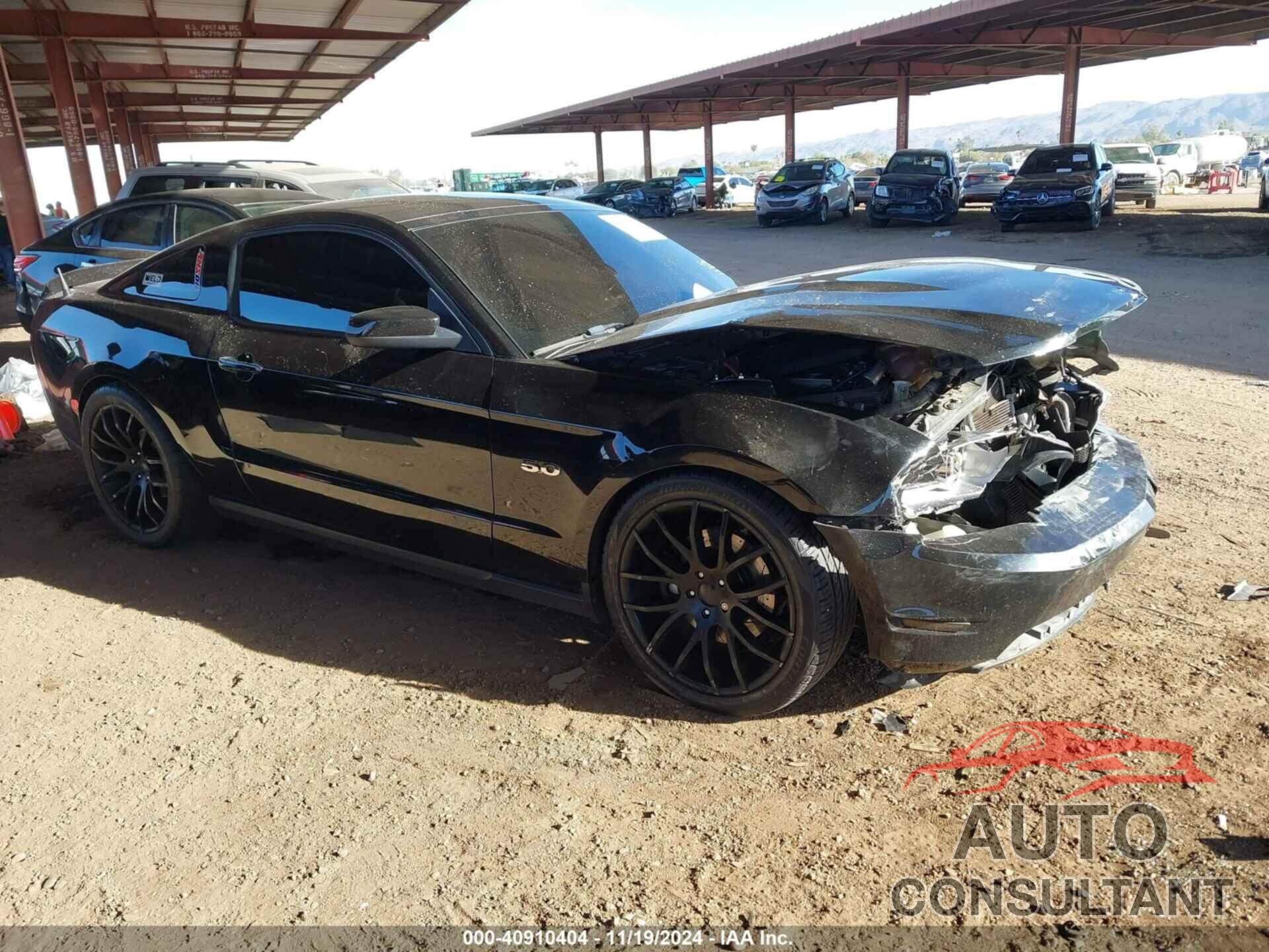 FORD MUSTANG 2012 - 1ZVBP8CF5C5263768