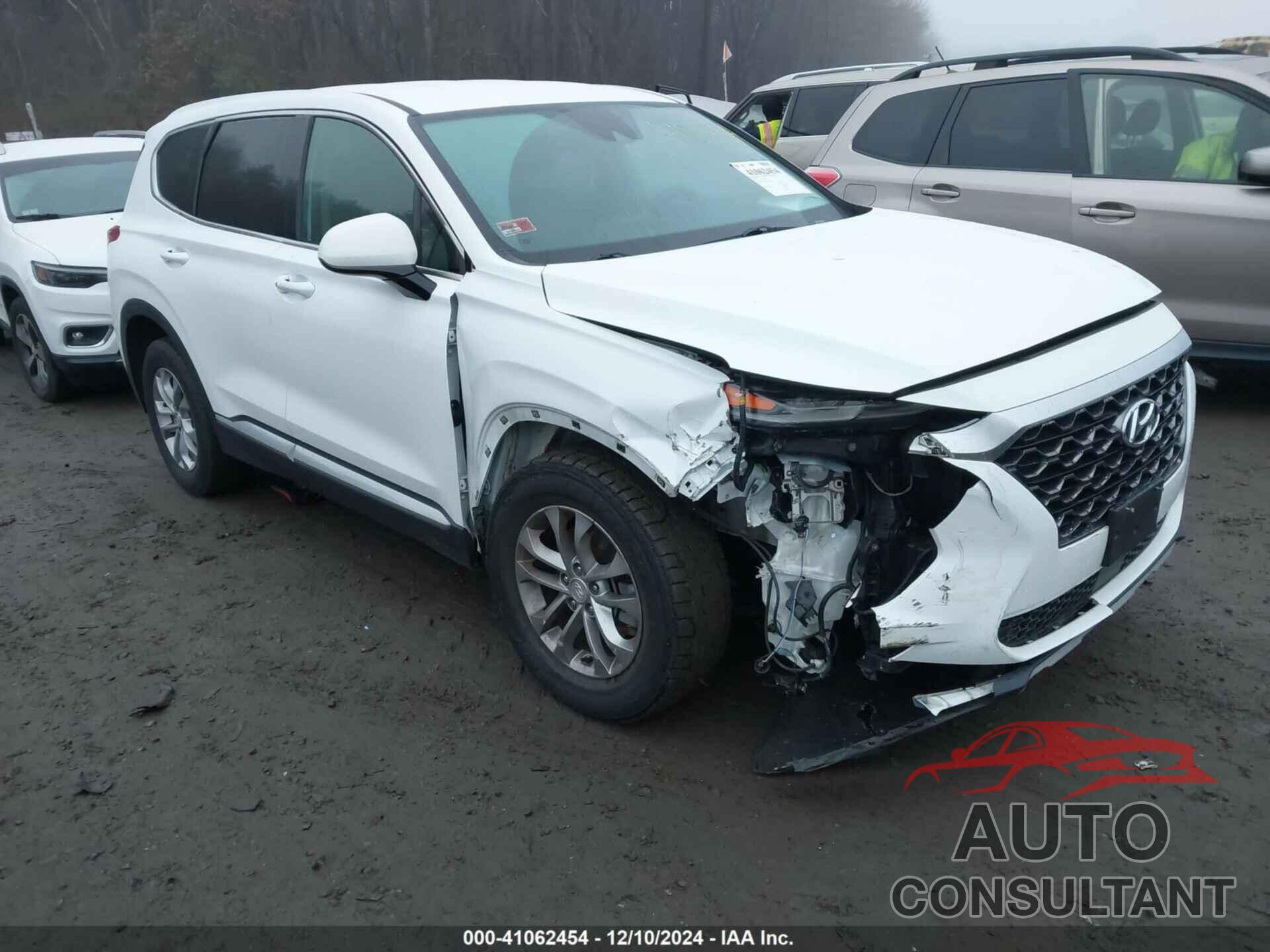 HYUNDAI SANTA FE 2019 - 5NMS3CAD1KH004564