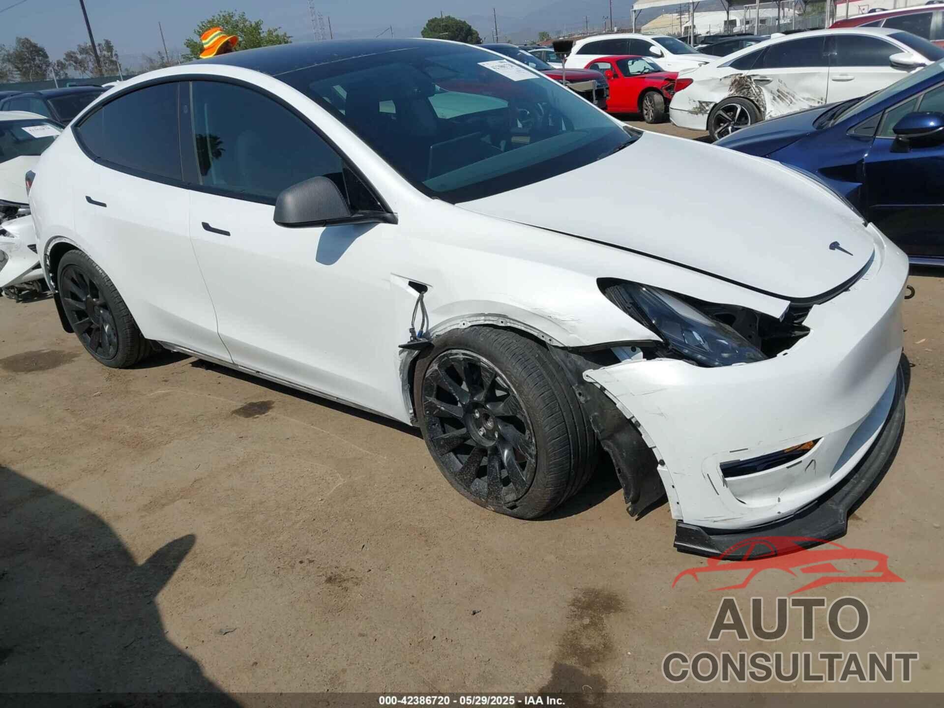 TESLA MODEL Y 2023 - 7SAYGDEE9PF887283