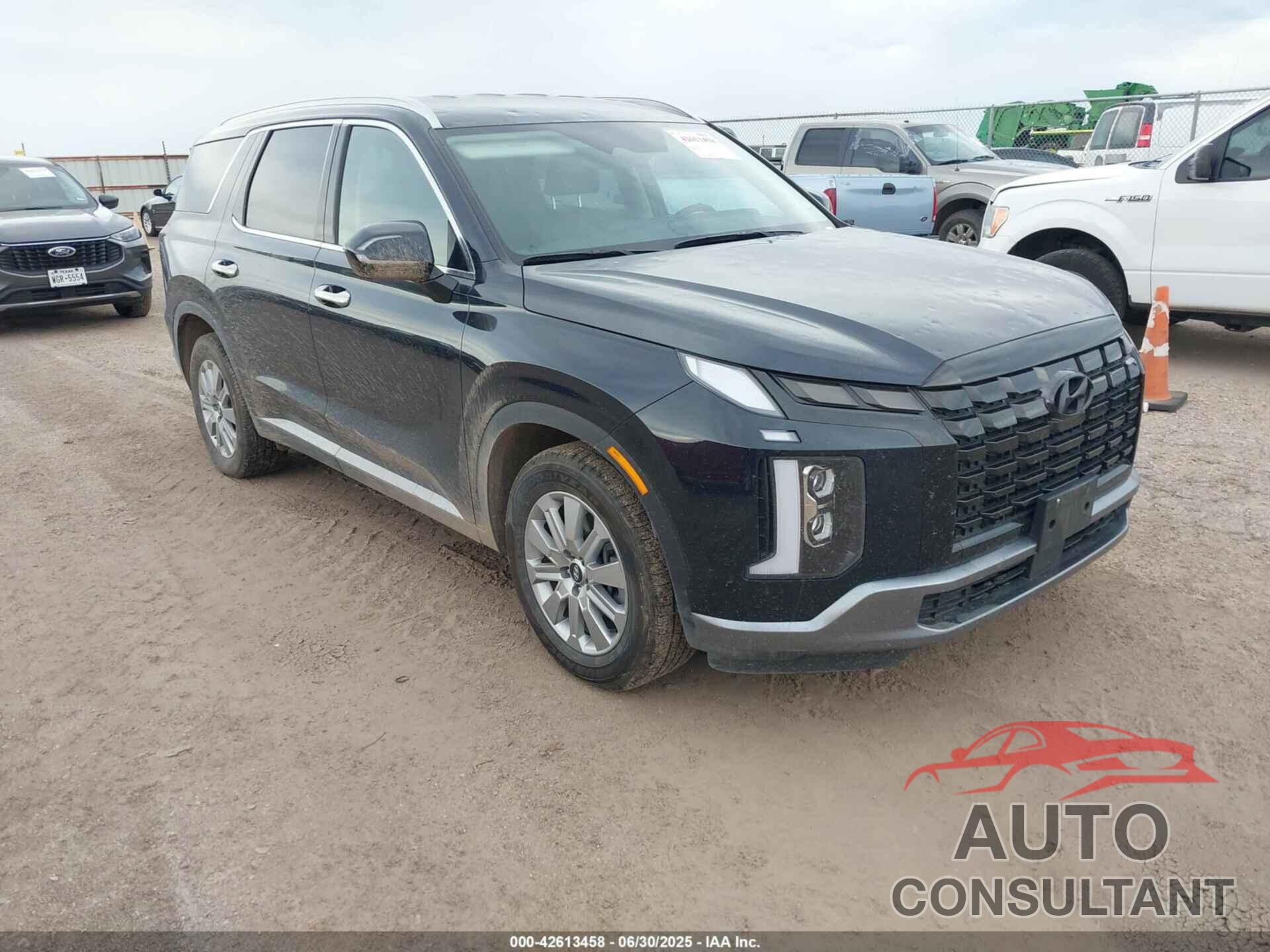 HYUNDAI PALISADE 2024 - KM8R24GE1RU796334