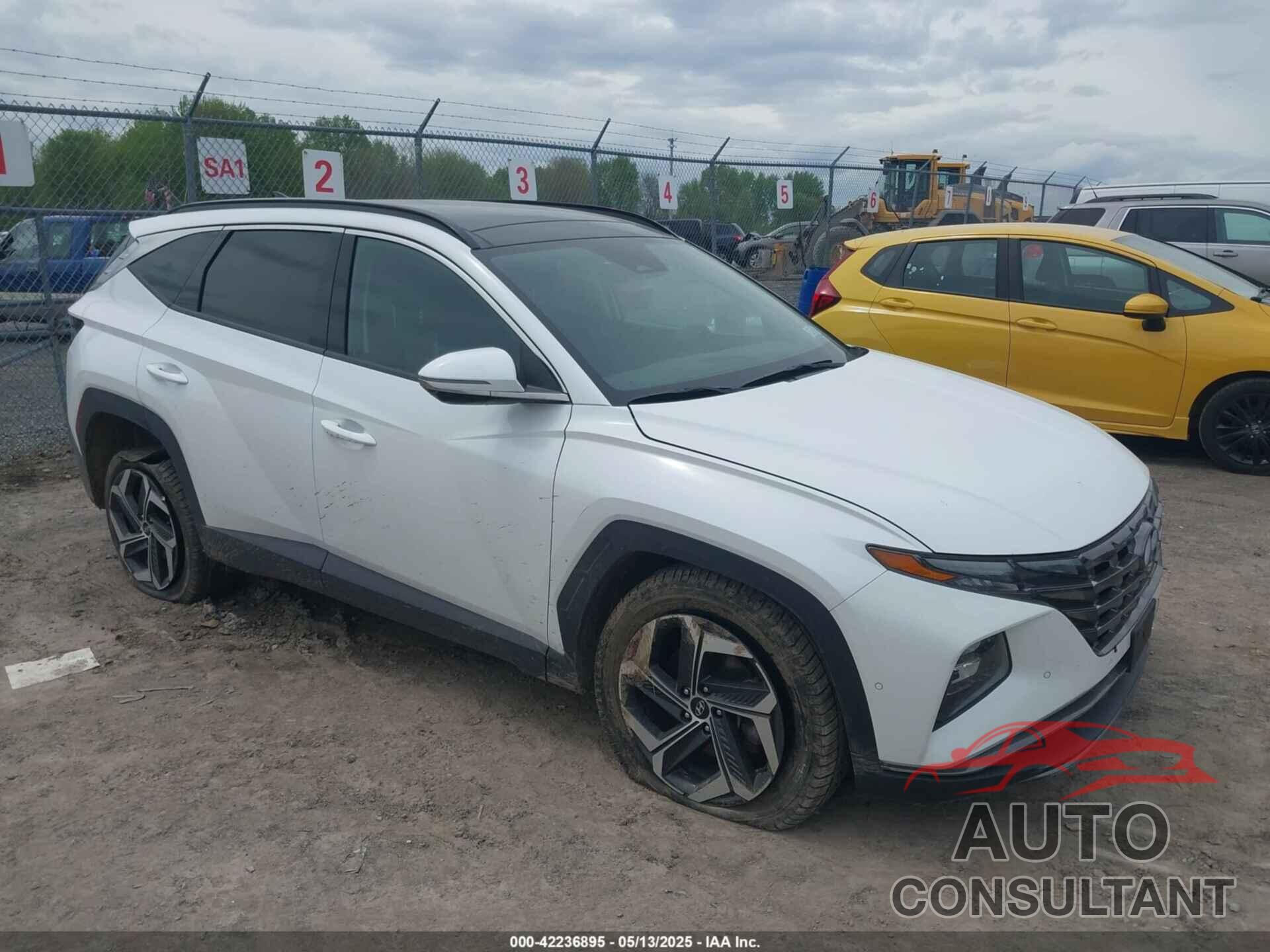 HYUNDAI TUCSON 2022 - 5NMJECAE2NH103526