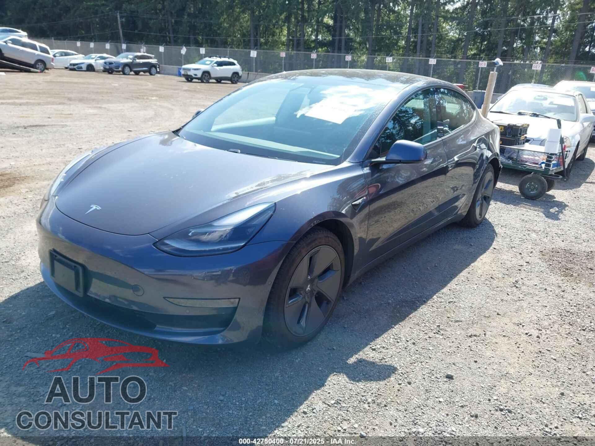 TESLA MODEL 3 2021 - 5YJ3E1EA3MF986847