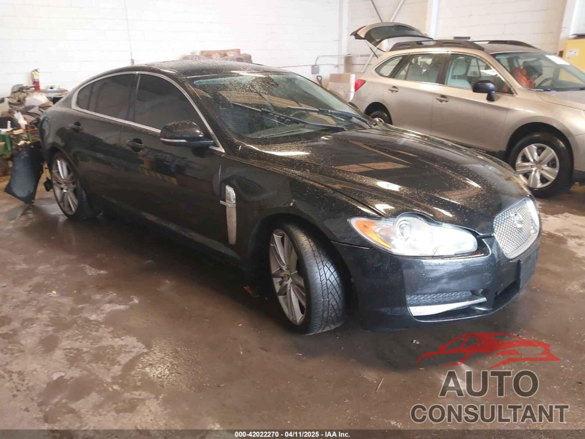 JAGUAR XF 2010 - SAJXA0GB9ALR72622