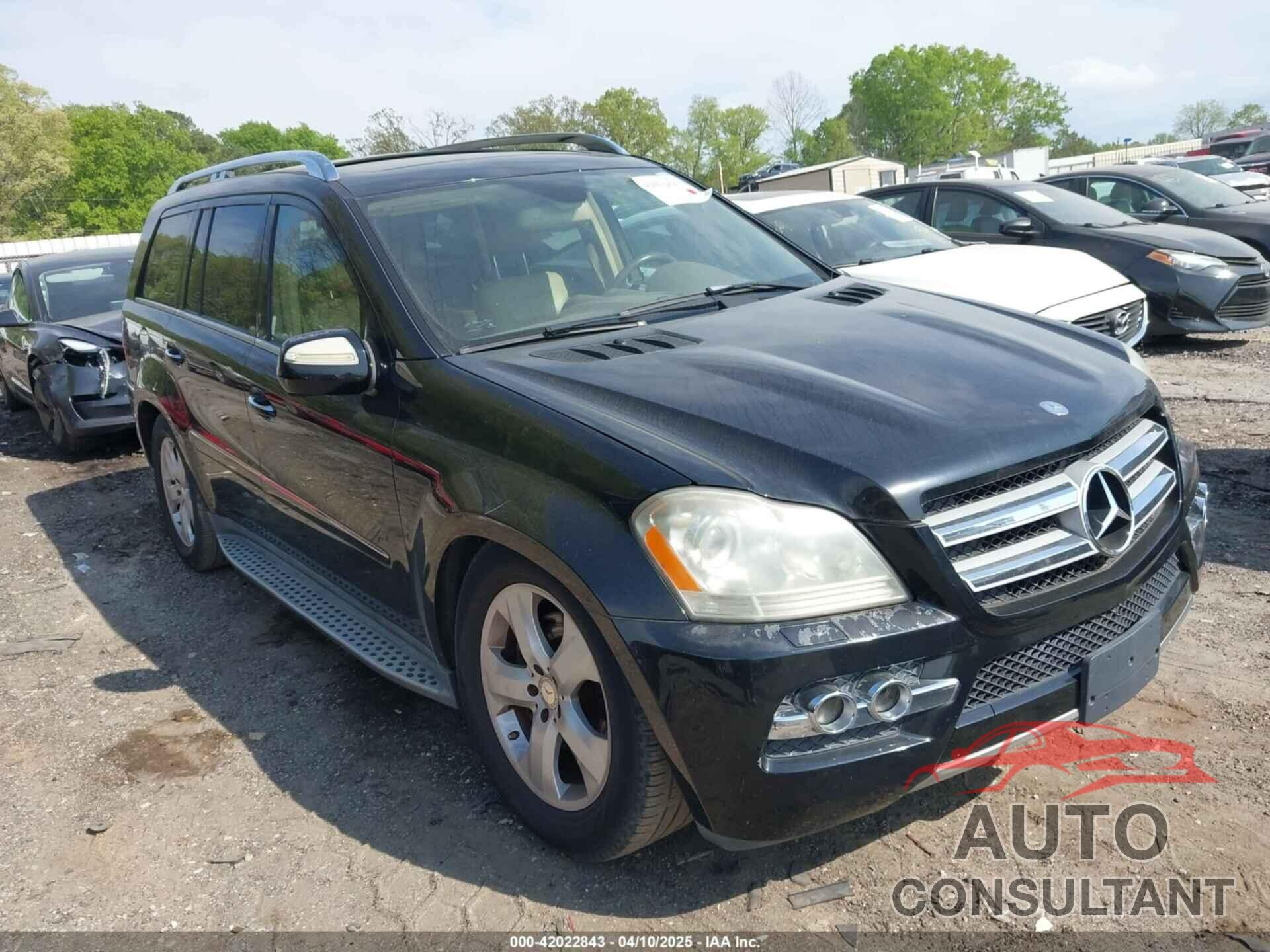 MERCEDES-BENZ GL 450 2010 - 4JGBF7BEXAA540228