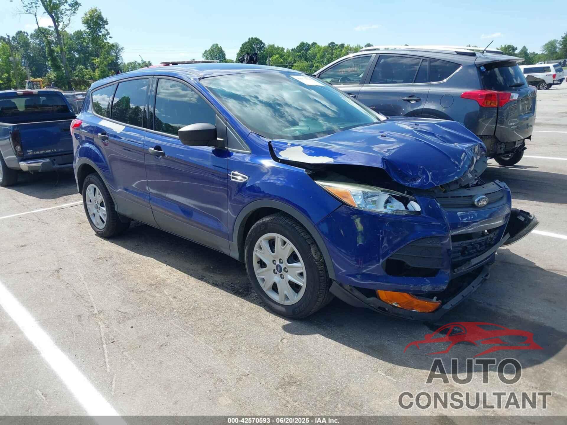 FORD ESCAPE 2016 - 1FMCU0F70GUC50360