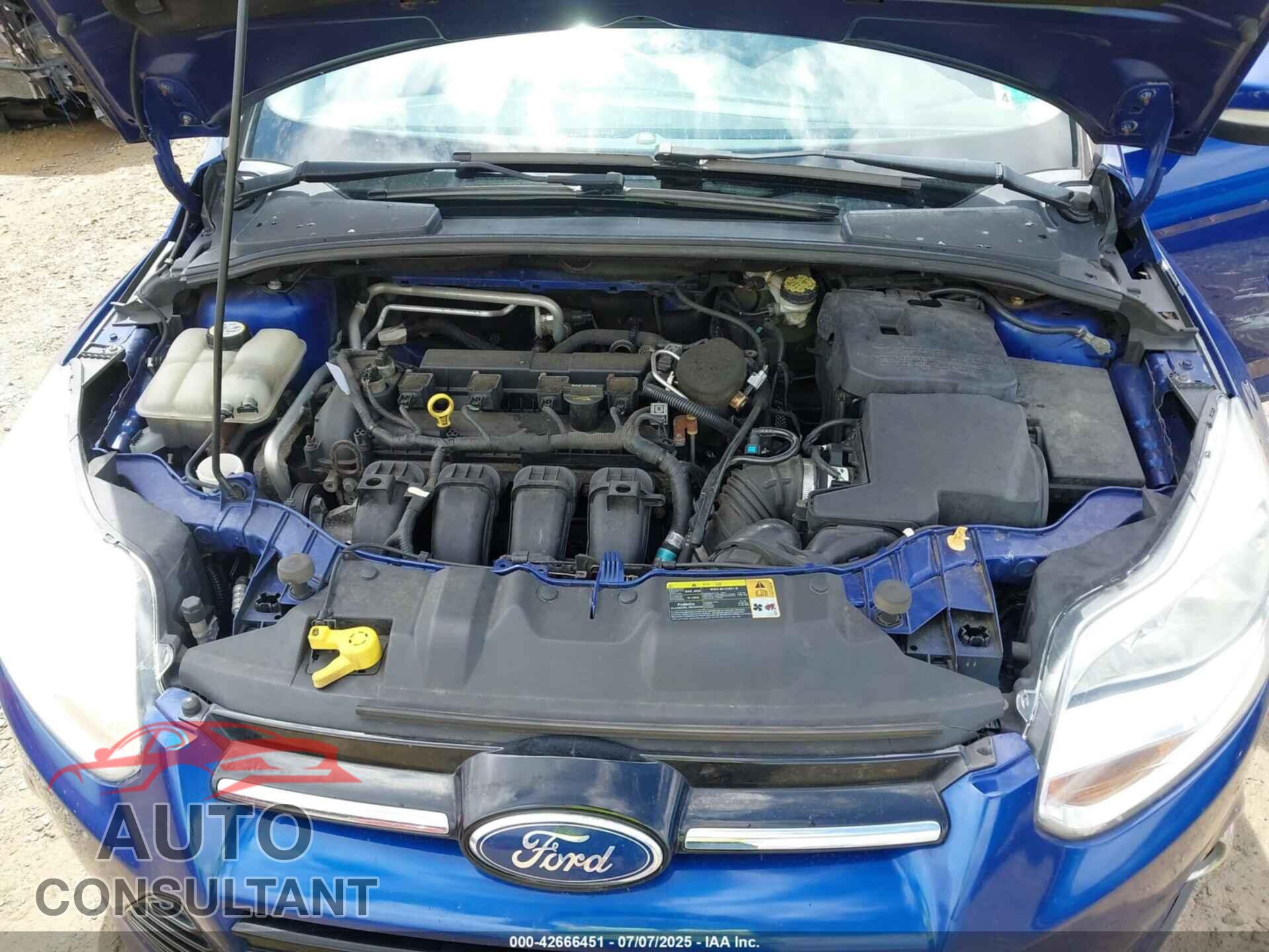FORD FOCUS 2012 - 1FAHP3H21CL331104