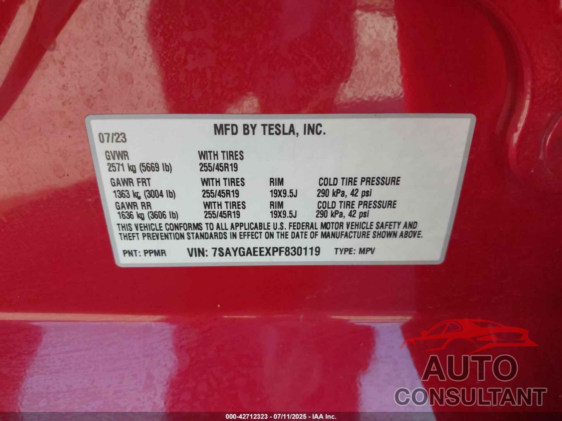 TESLA MODEL Y 2023 - 7SAYGAEEXPF830119