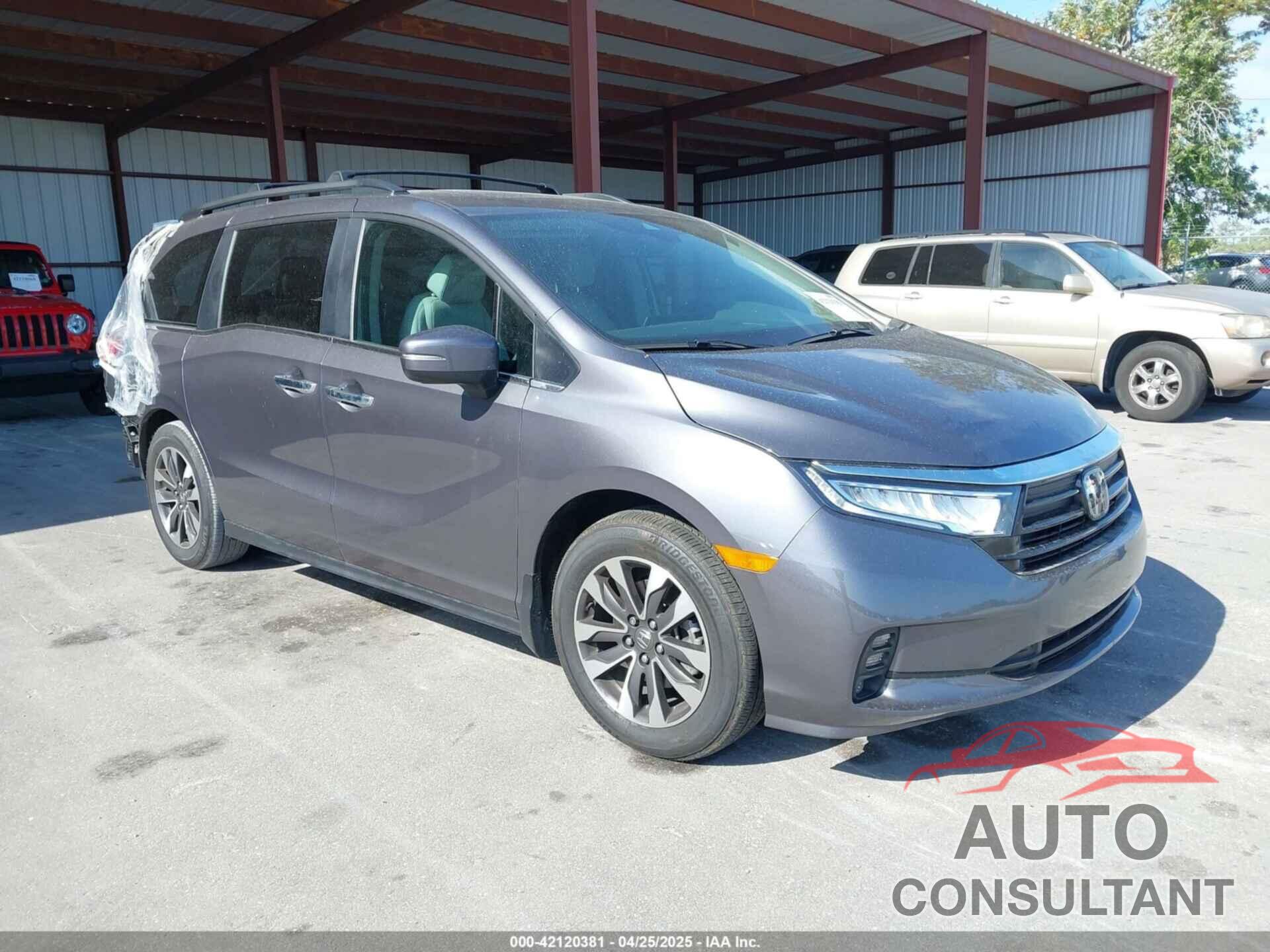 HONDA ODYSSEY 2024 - 5FNRL6H65RB069145