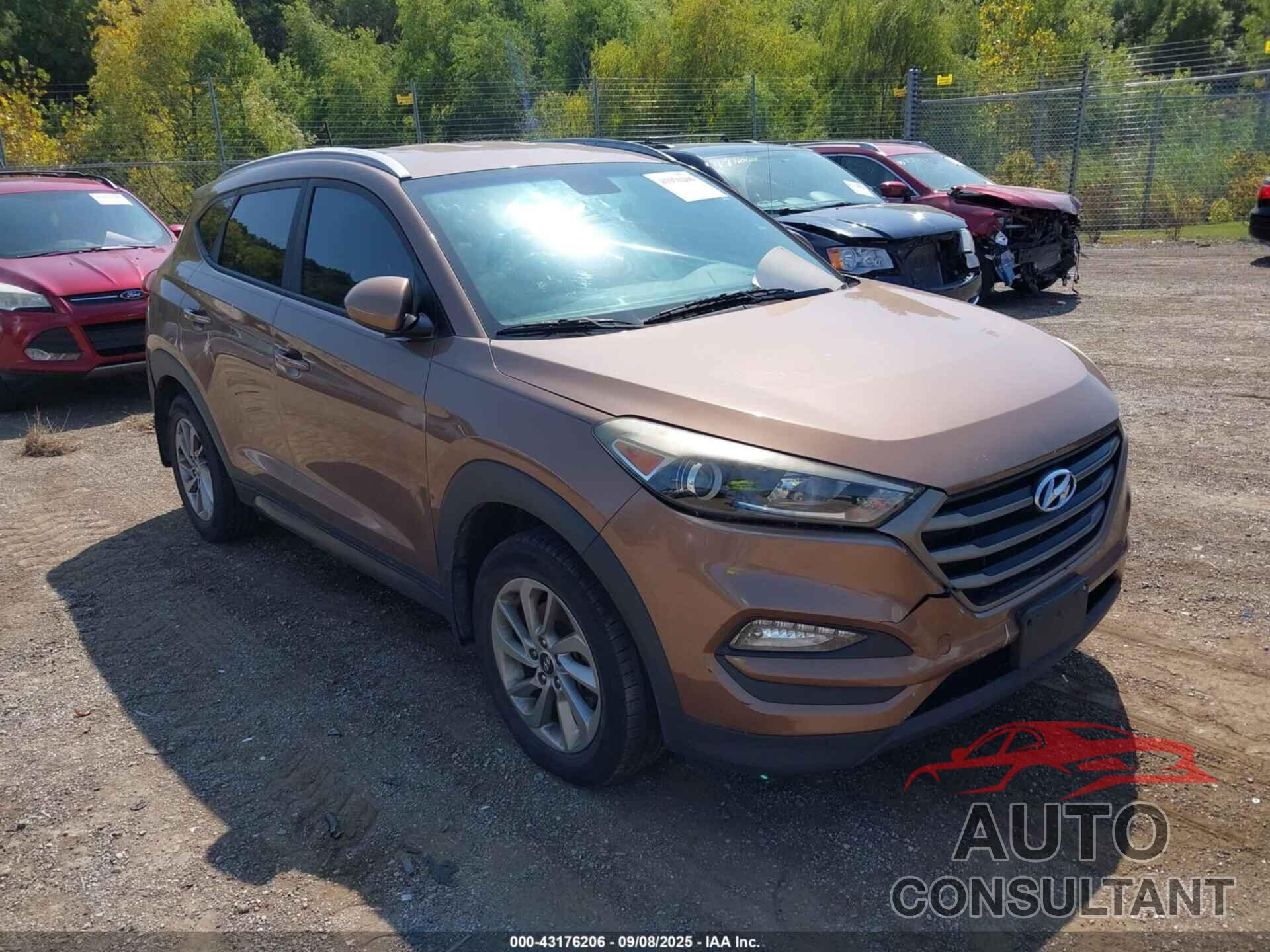 HYUNDAI TUCSON 2016 - KM8J33A40GU186667