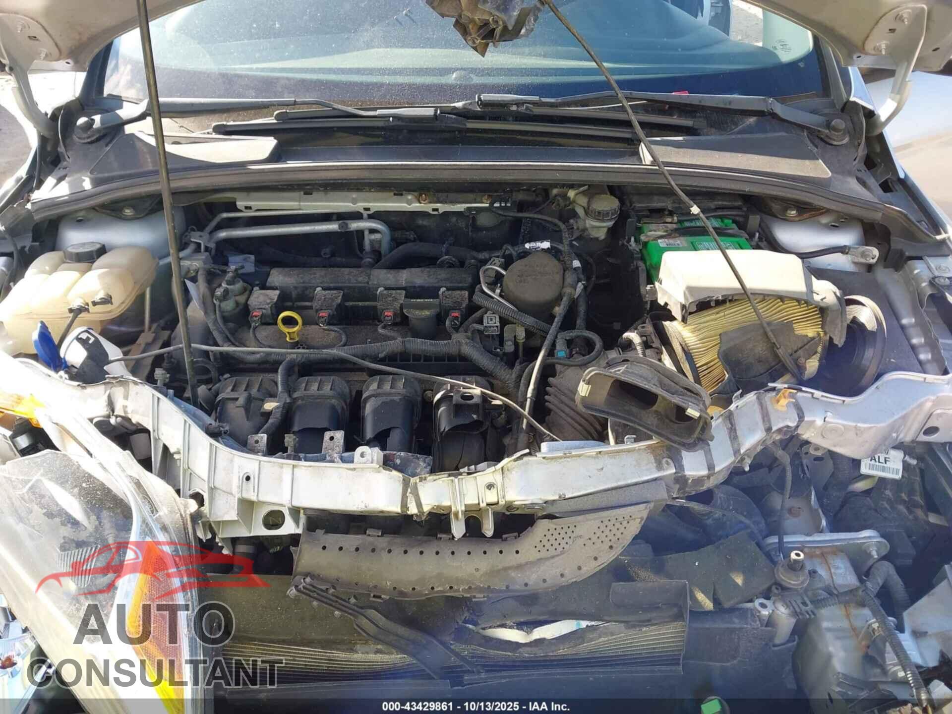 FORD FOCUS 2013 - 1FADP3F26DL318528