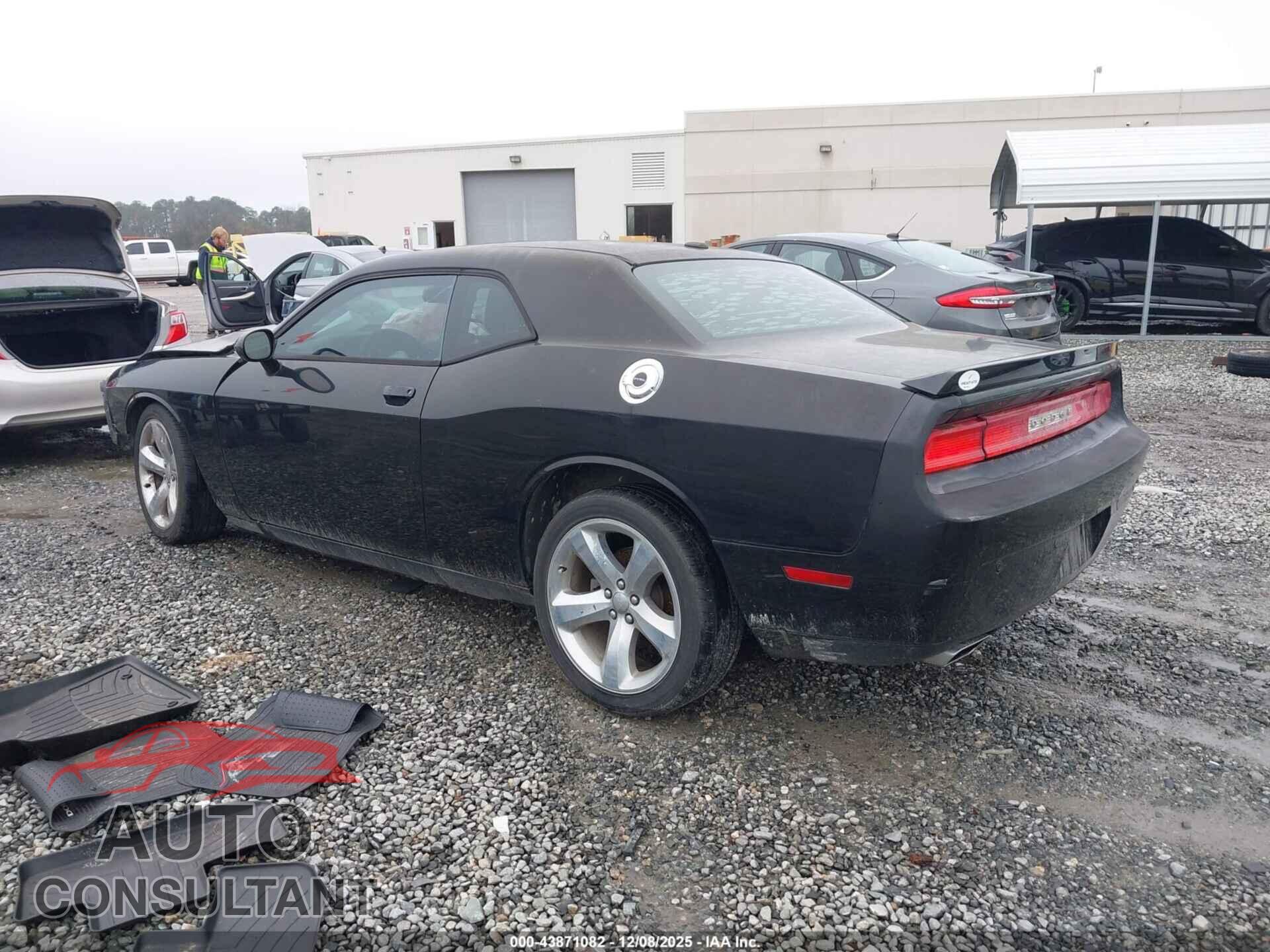DODGE CHALLENGER 2013 - 2C3CDYAG3DH562153