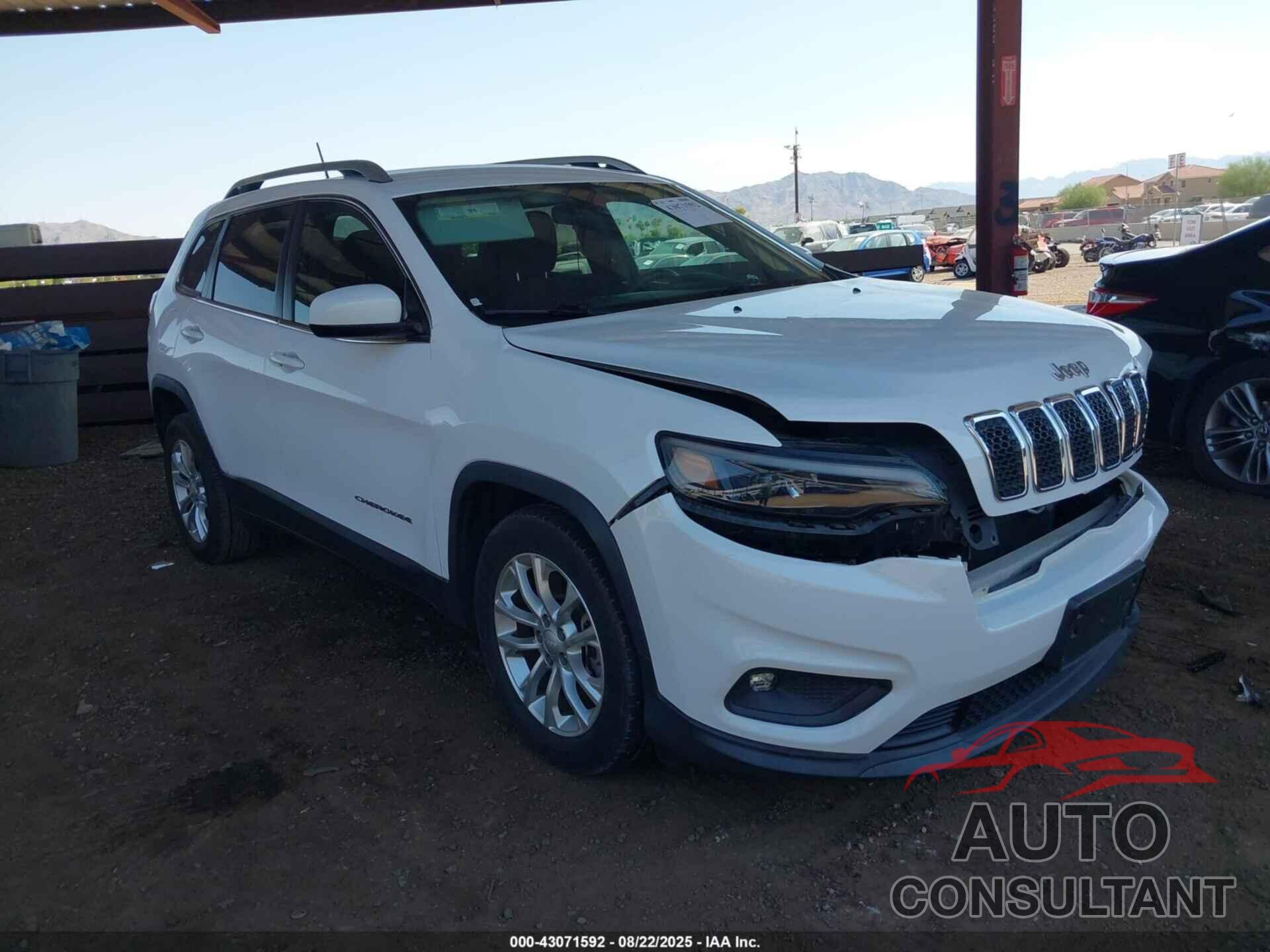 JEEP CHEROKEE 2019 - 1C4PJLCB0KD171658