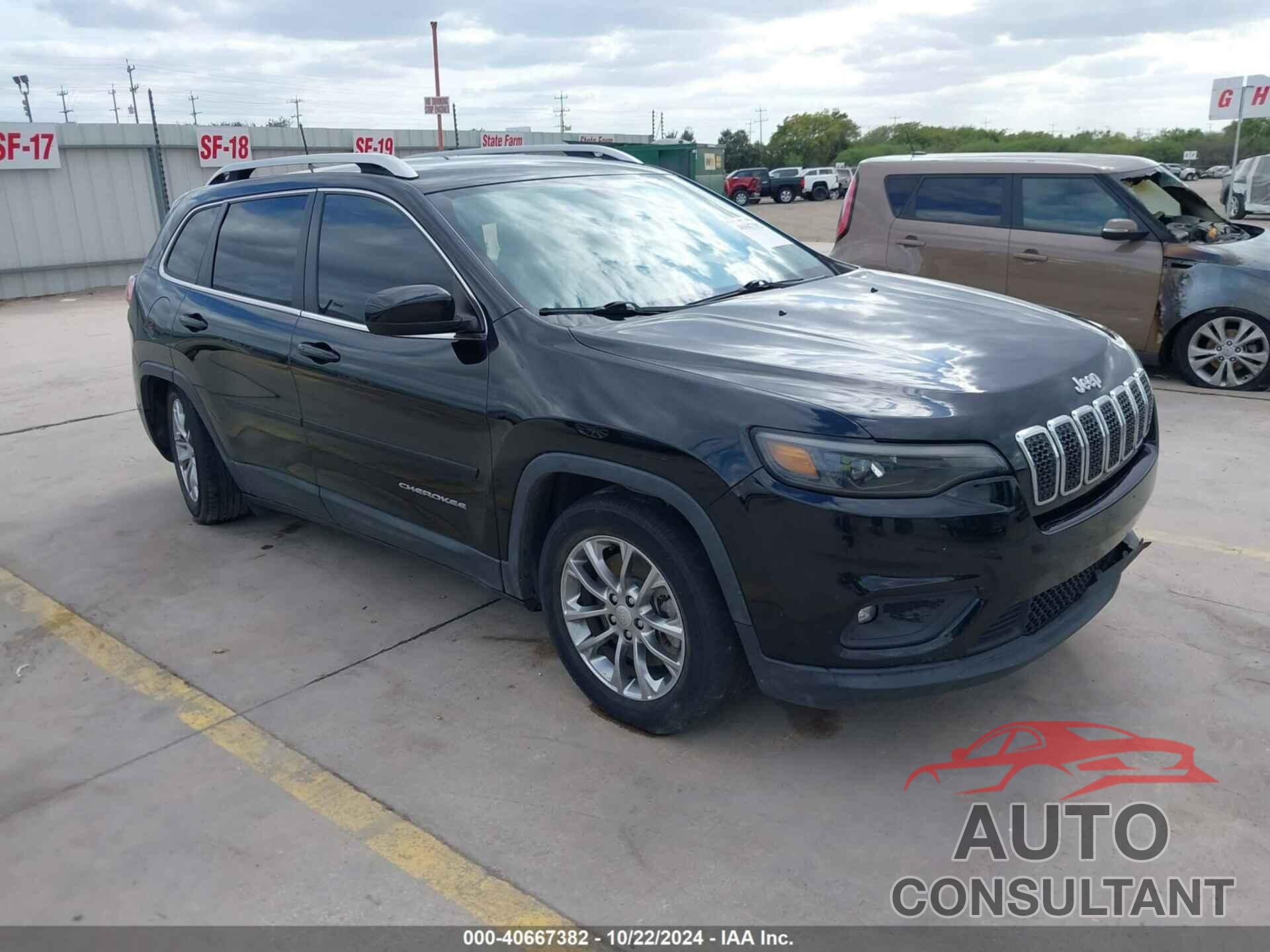 JEEP CHEROKEE 2019 - 1C4PJLLB0KD221376