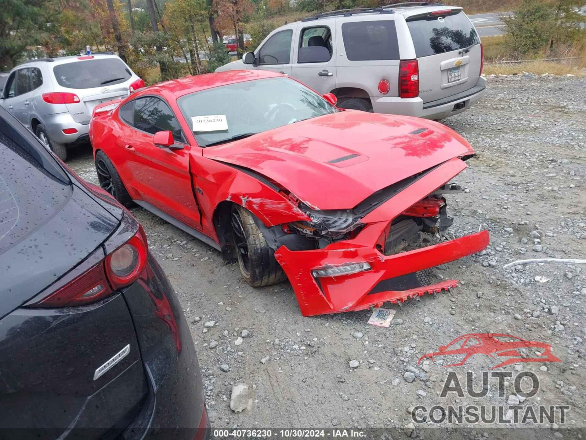 FORD MUSTANG 2019 - 1FA6P8CF9K5184502