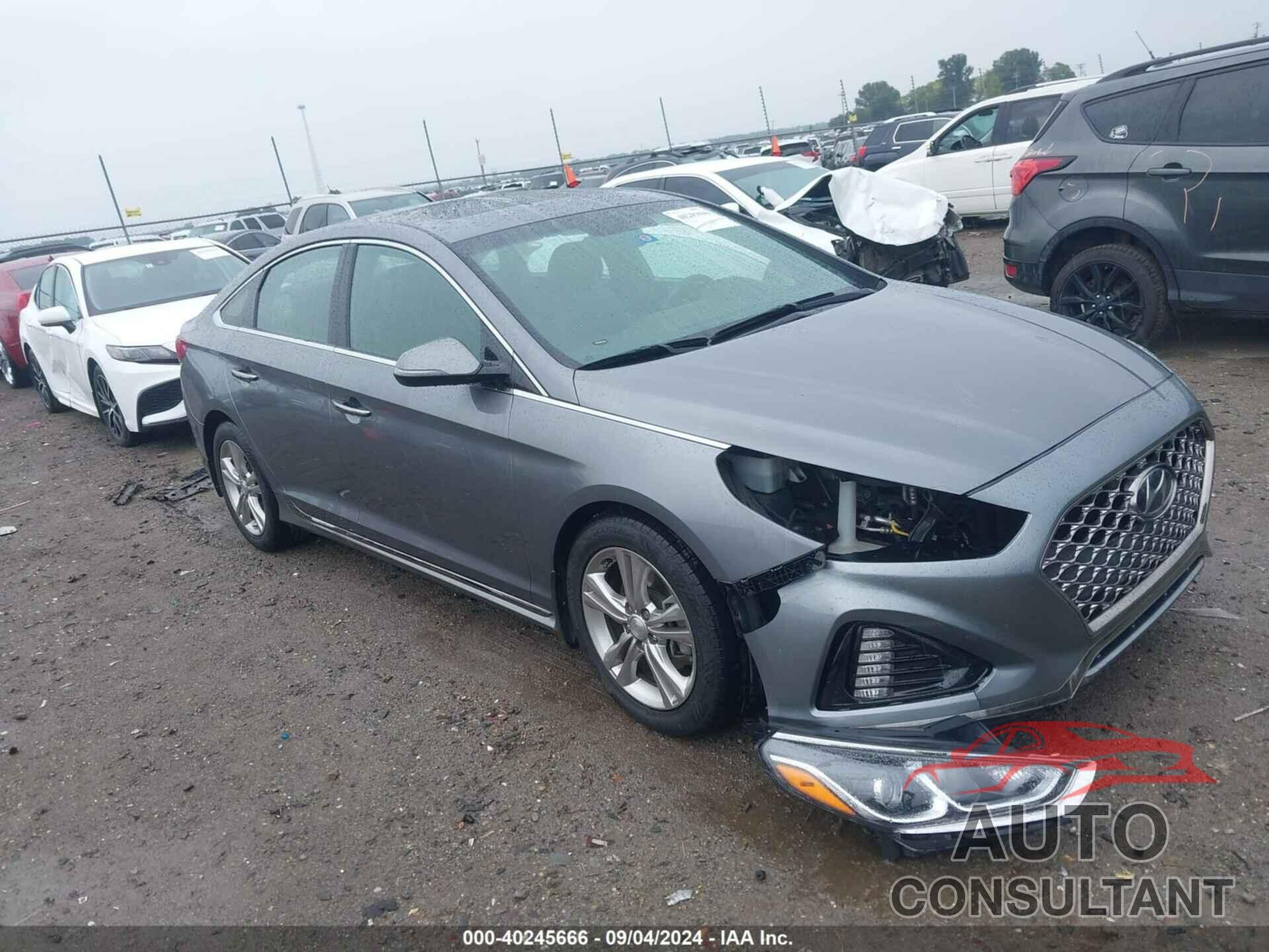 HYUNDAI SONATA 2019 - 5NPE34AF7KH772752