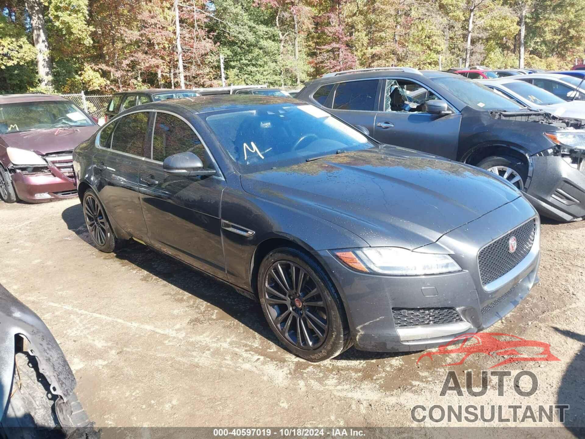 JAGUAR XF 2016 - SAJBK4BV3GCY15077