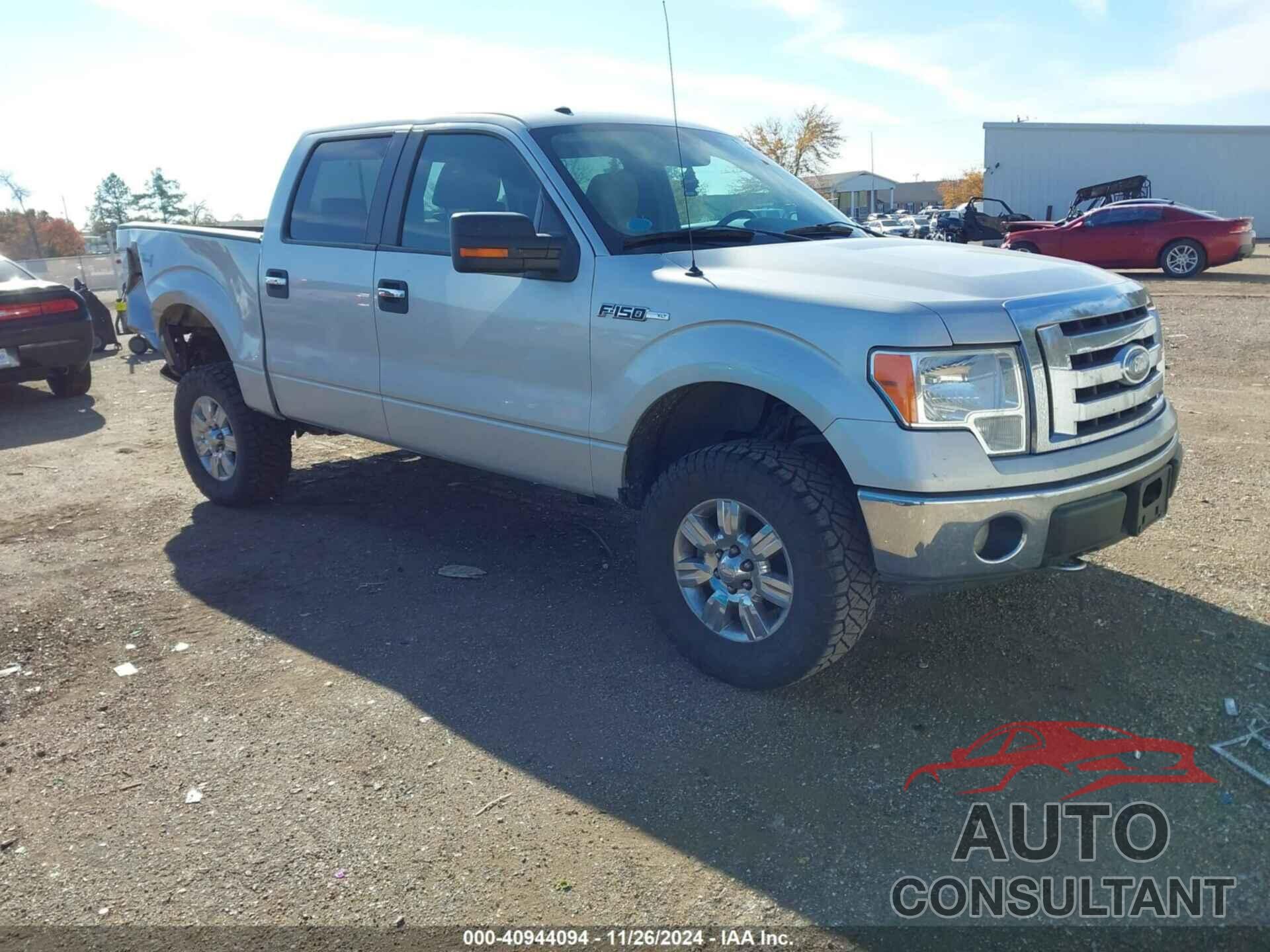 FORD F-150 2009 - 1FTRW14809FB13789