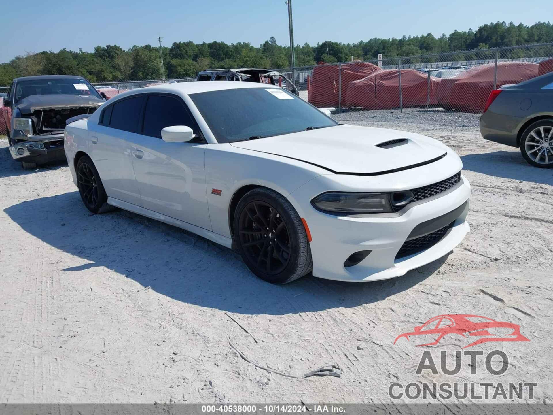 DODGE CHARGER 2021 - 2C3CDXGJ2MH519419