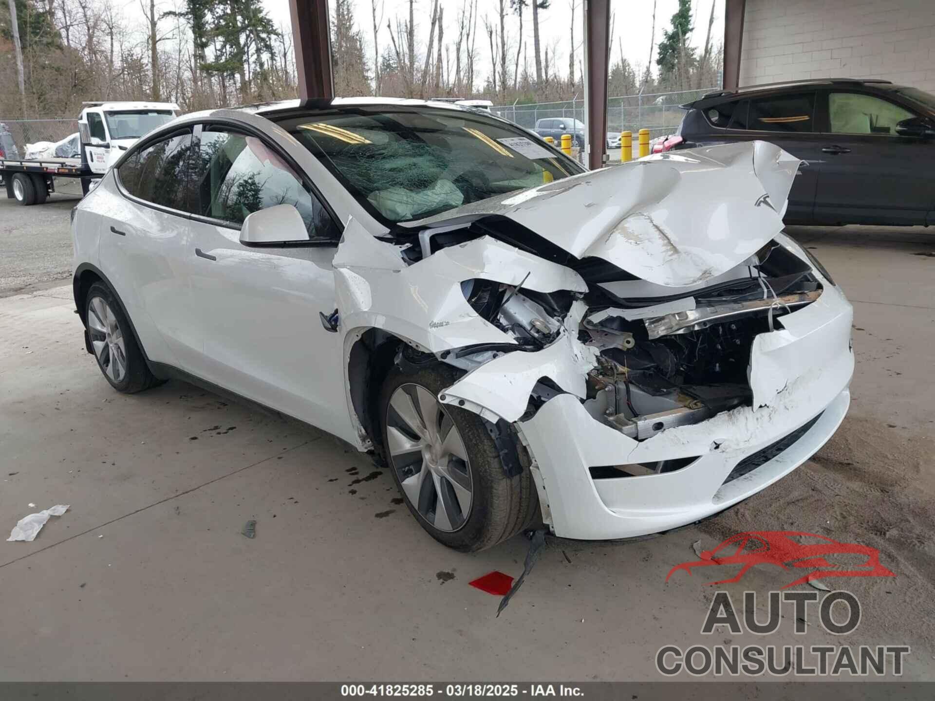 TESLA MODEL Y 2024 - 7SAYGDEE1RF047064