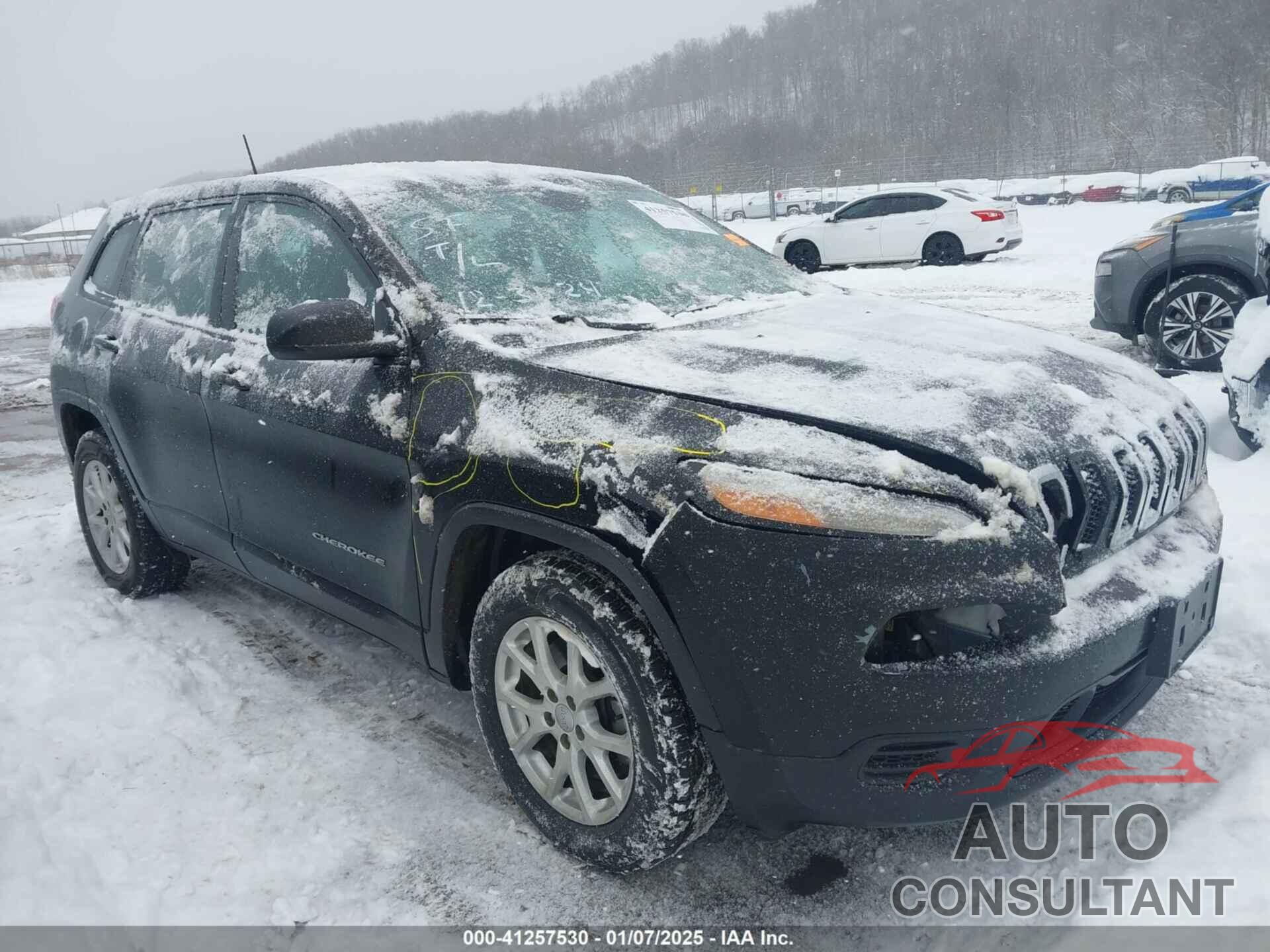 JEEP CHEROKEE 2017 - 1C4PJMAB9HD215769