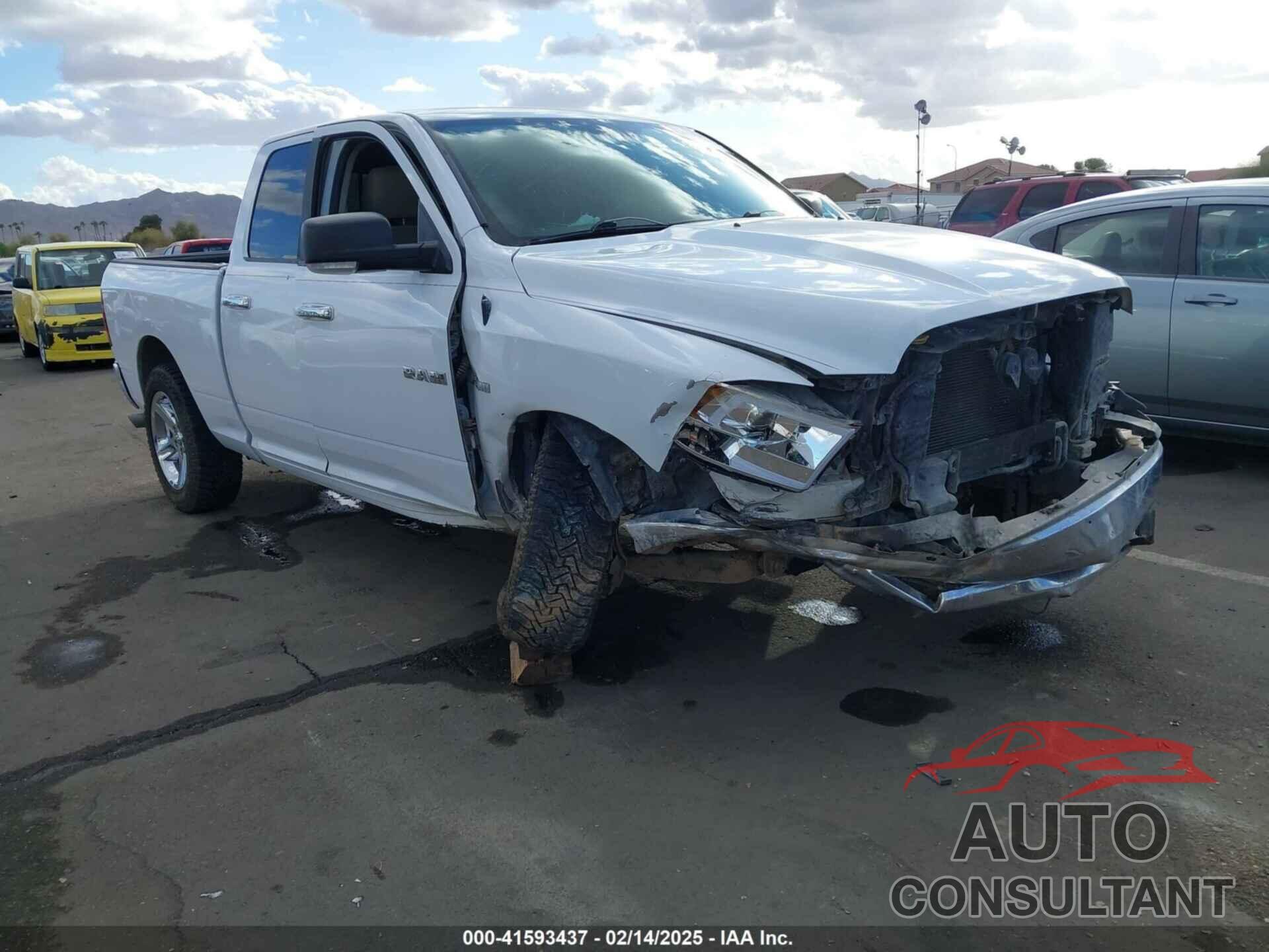 DODGE RAM 1500 2010 - 1D7RB1GT3AS141602
