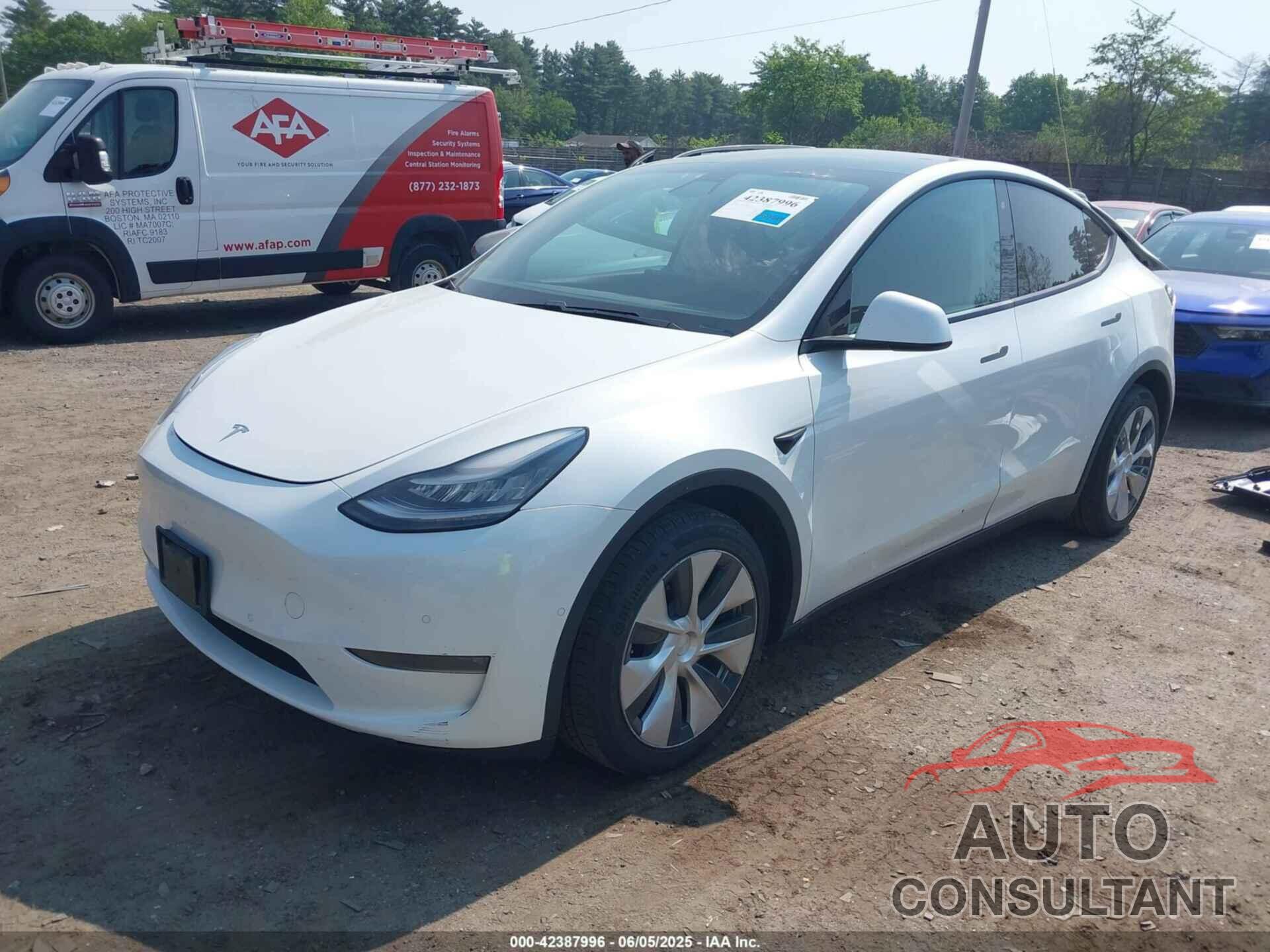 TESLA MODEL Y 2020 - 5YJYGDEEXLF028453