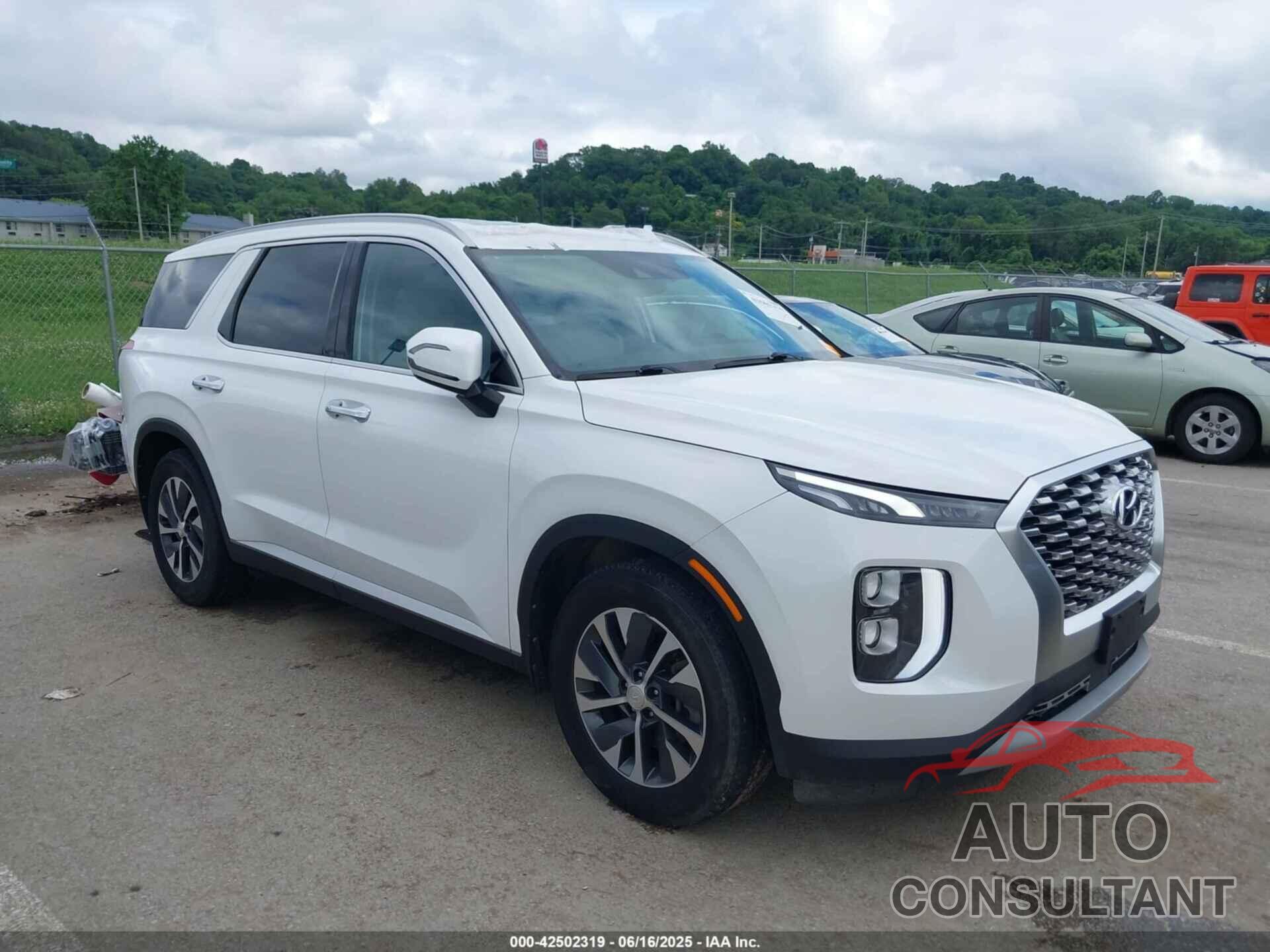 HYUNDAI PALISADE 2020 - KM8R24HE5LU113878