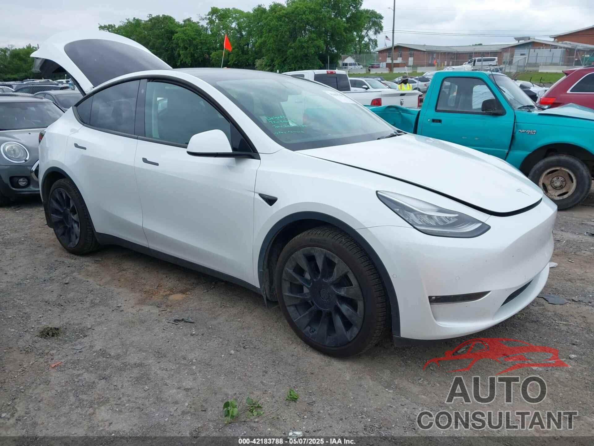 TESLA MODEL Y 2021 - 5YJYGDEE0MF233524