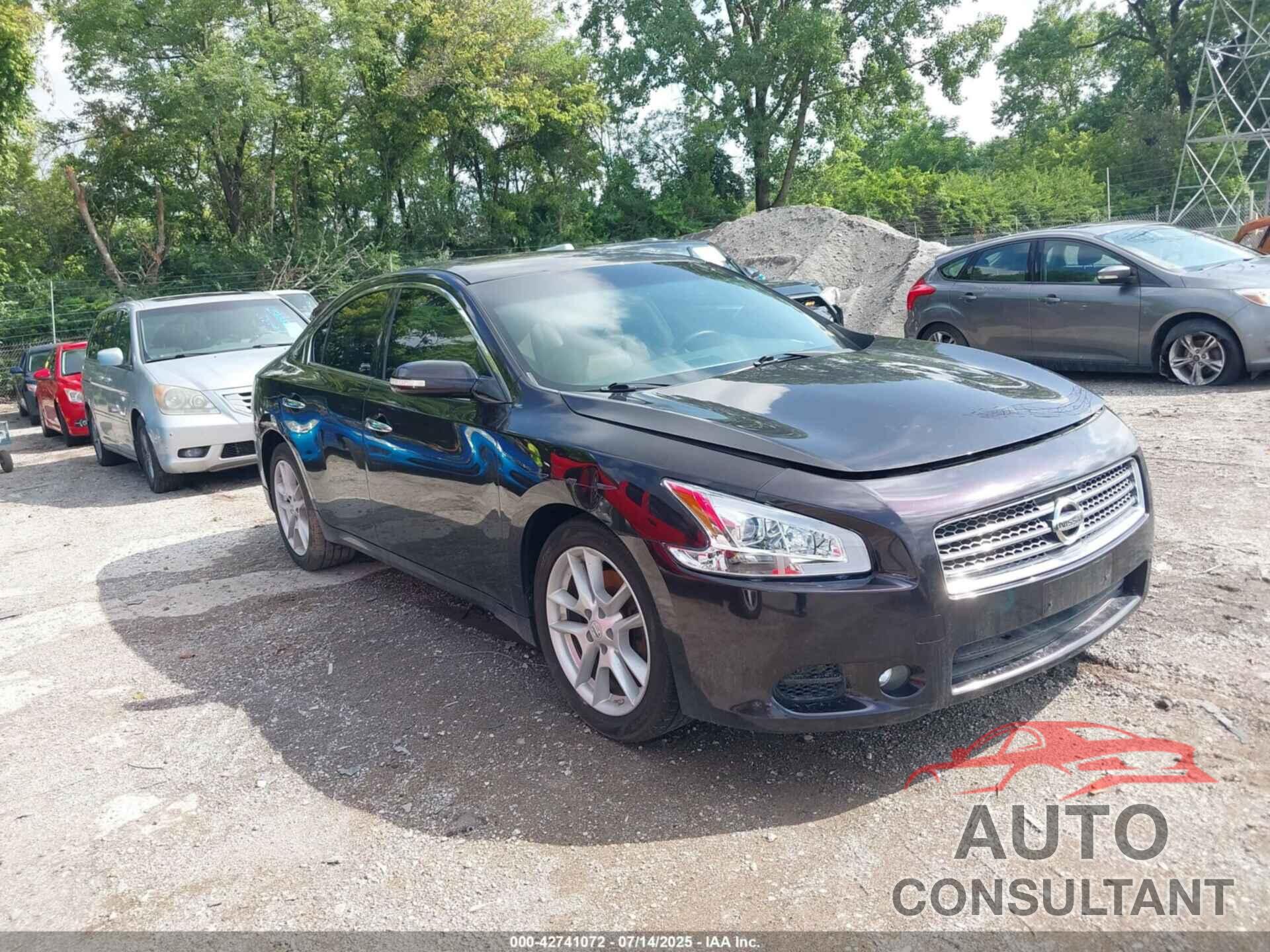NISSAN MAXIMA 2010 - 1N4AA5AP6AC806795