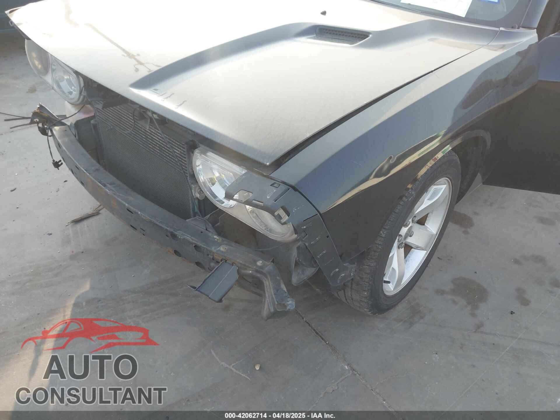 DODGE CHALLENGER 2012 - 2C3CDYAG2CH292010