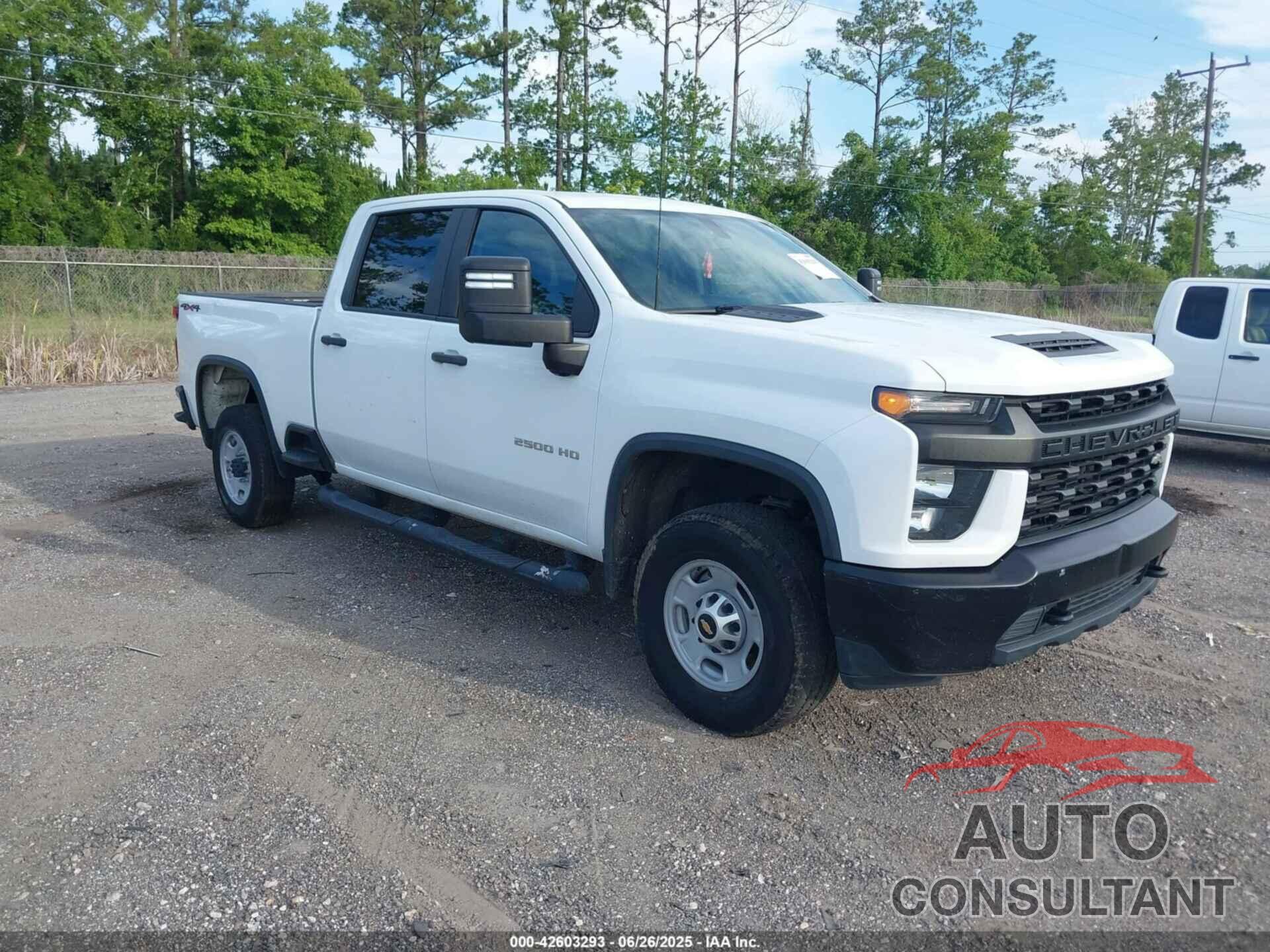 CHEVROLET SILVERADO 2021 - 1GC1YLE76MF105939