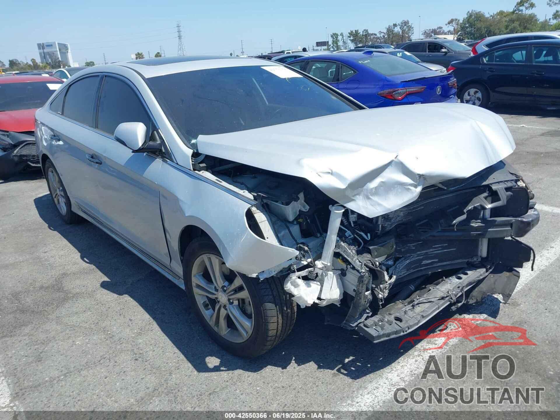 HYUNDAI SONATA 2019 - 5NPE34AF7KH815759
