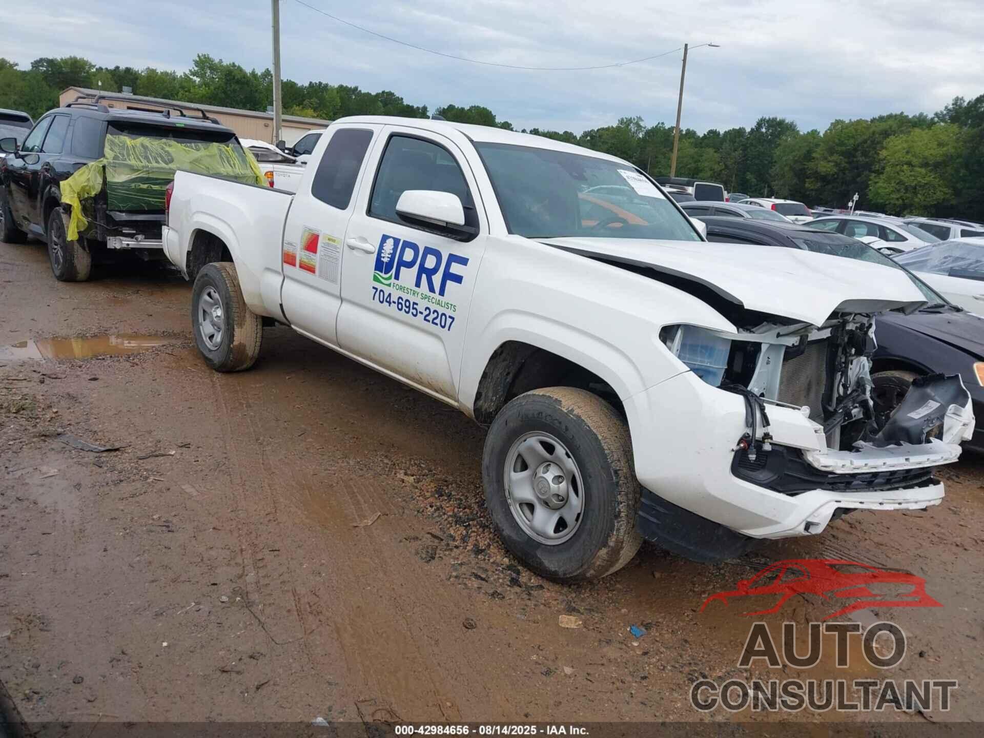 TOYOTA TACOMA 2023 - 3TYSX5ENXPT021391