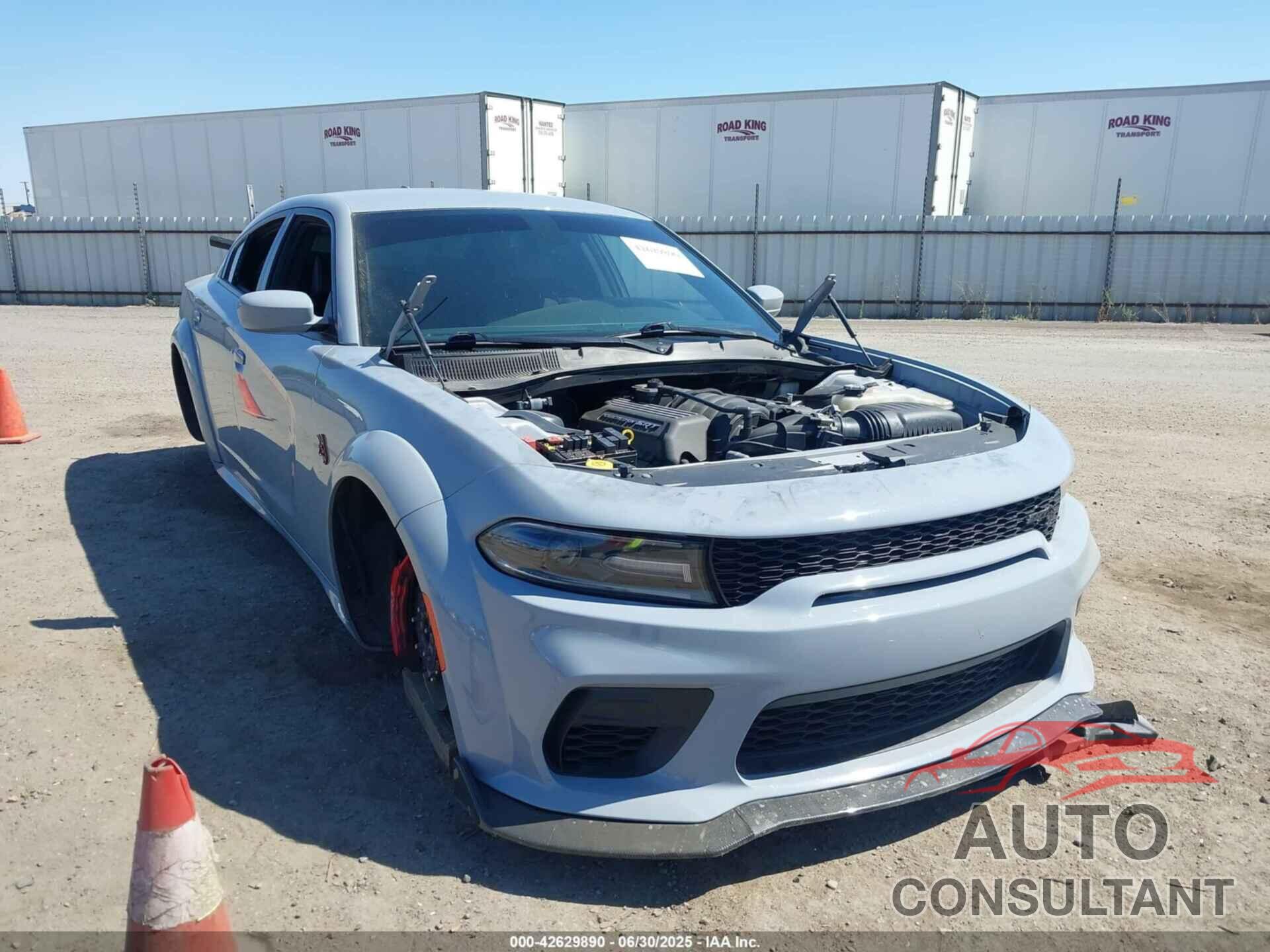 DODGE CHARGER 2021 - 2C3CDXGJ8MH515553