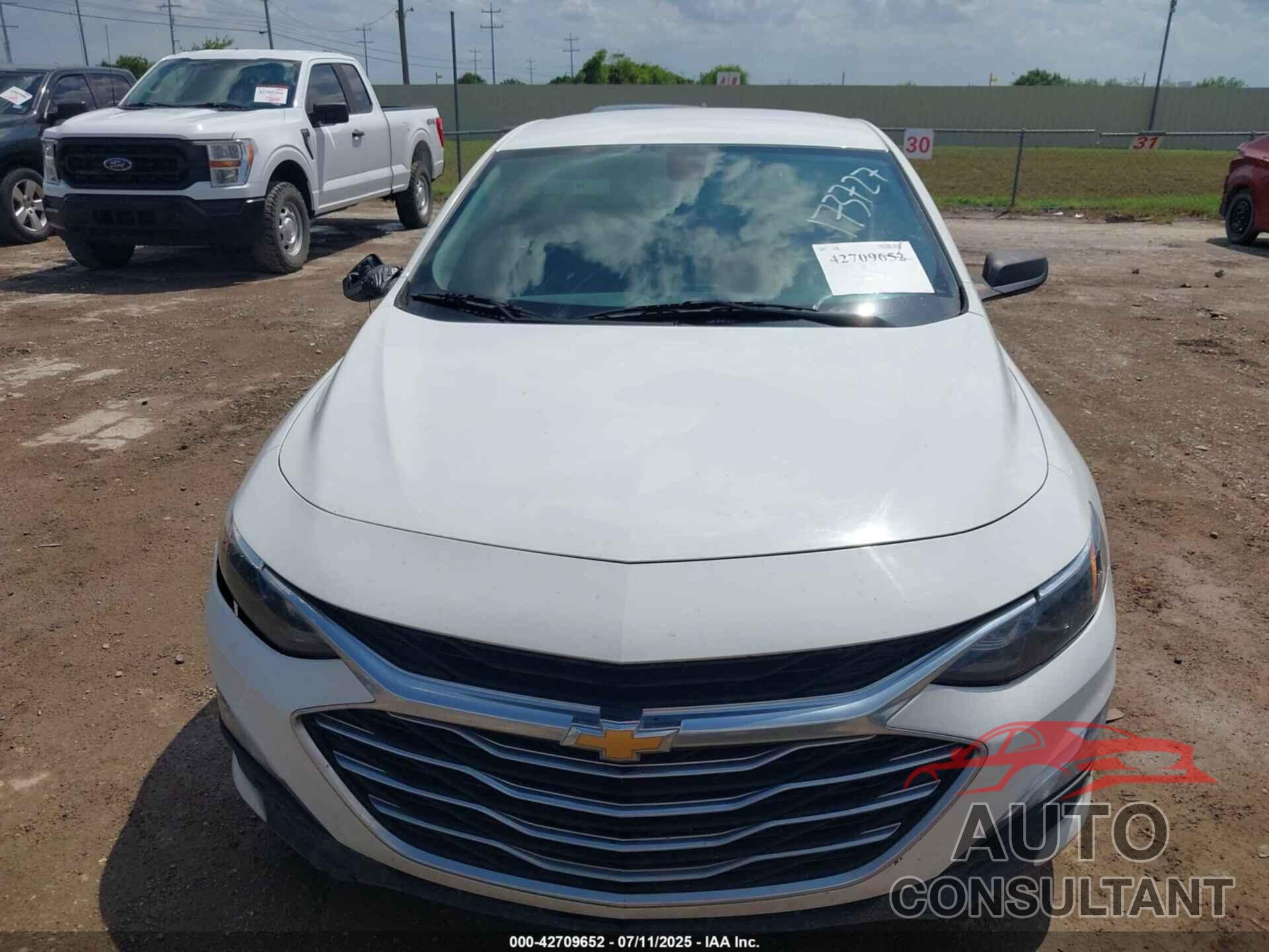 CHEVROLET MALIBU 2019 - 1G1ZB5ST2KF173727
