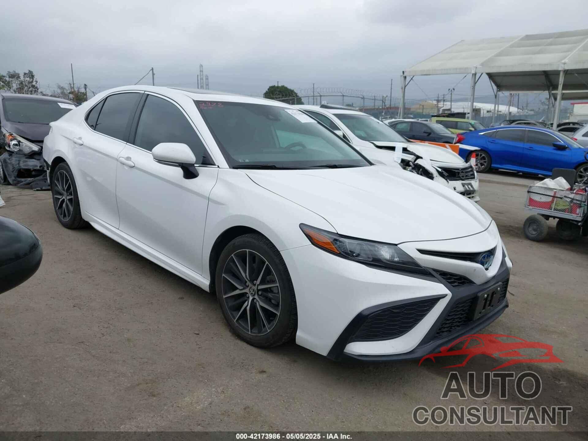 TOYOTA CAMRY 2022 - 4T1S31AK9NU587994