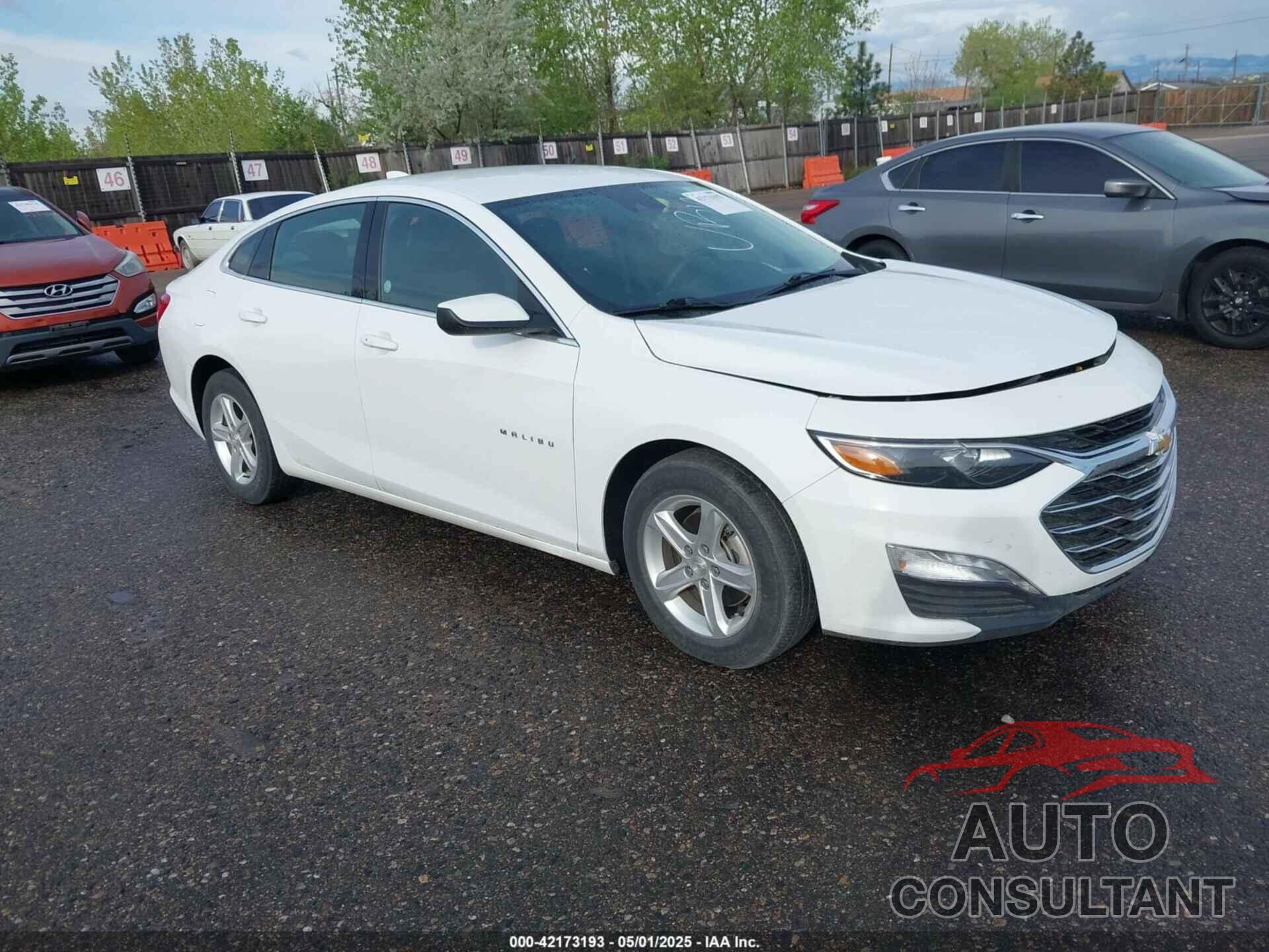 CHEVROLET MALIBU 2024 - 1G1ZD5ST0RF164349