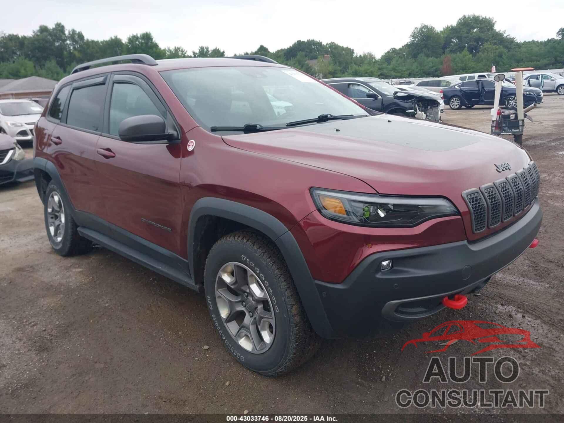 JEEP CHEROKEE 2019 - 1C4PJMBX7KD400422