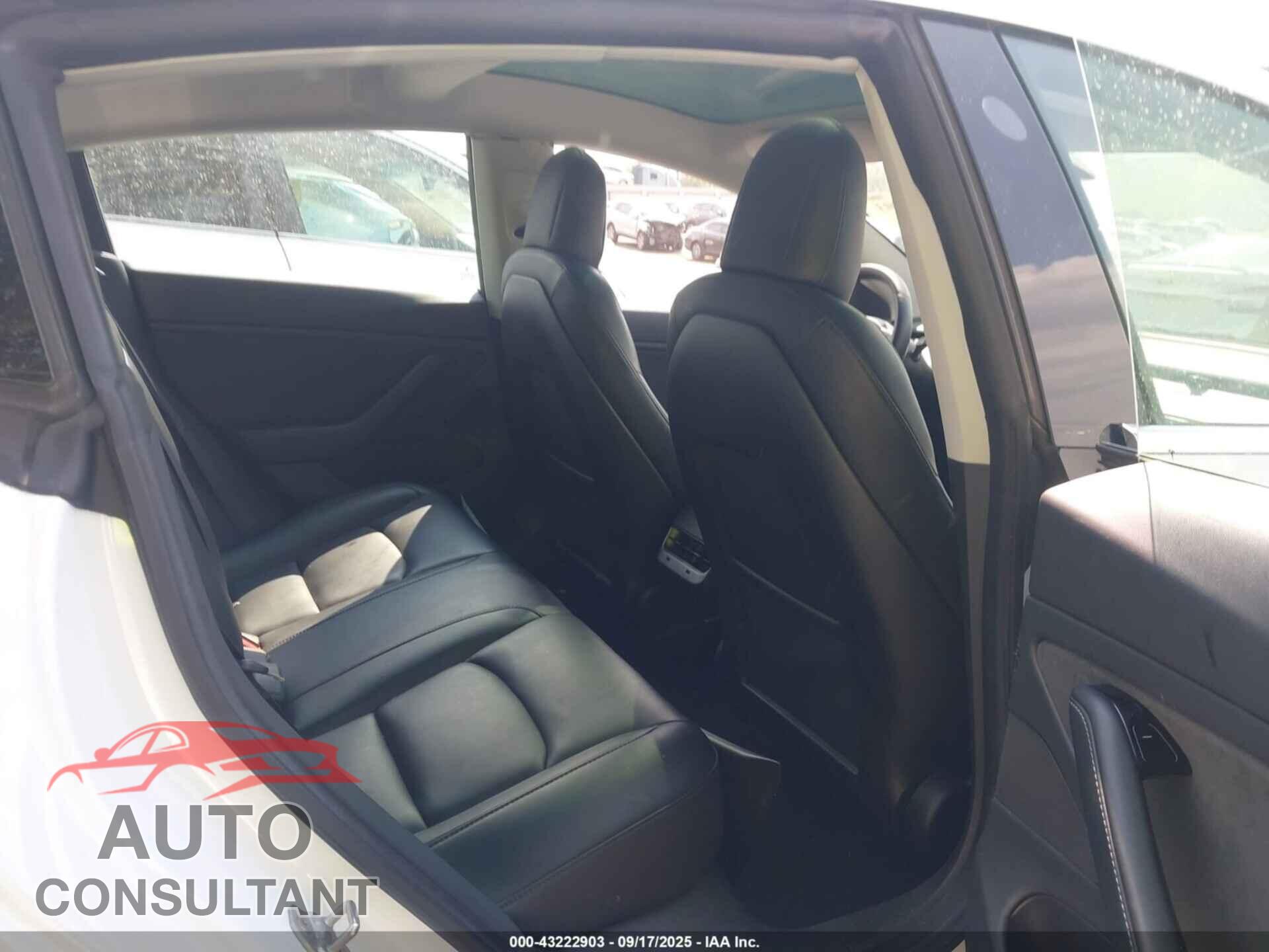 TESLA MODEL 3 2019 - 5YJ3E1EA8KF482825