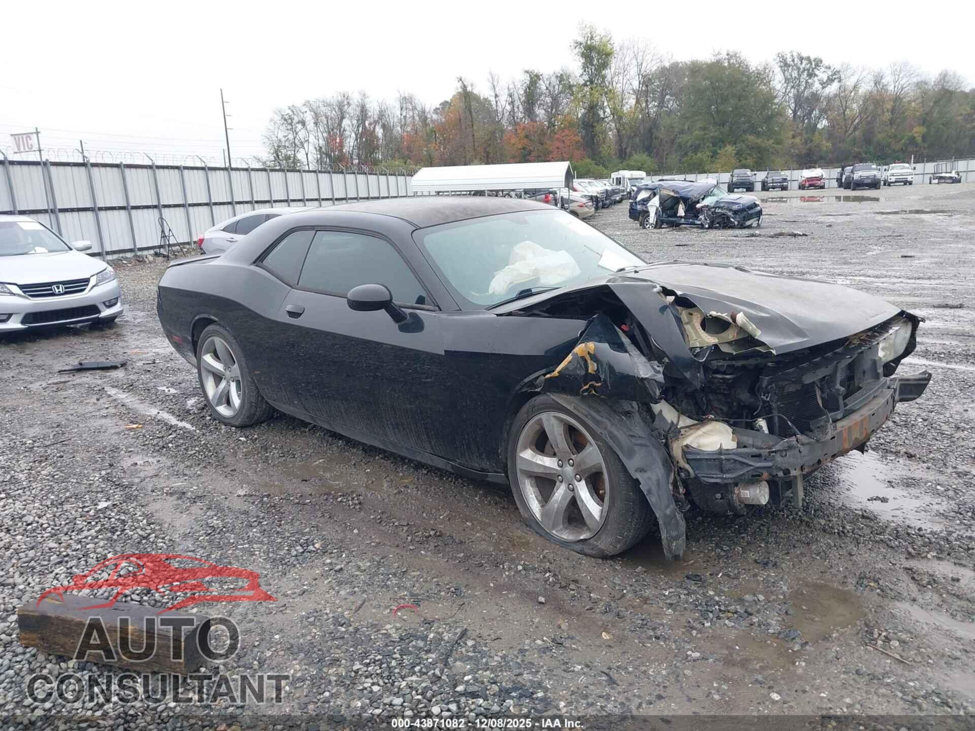 DODGE CHALLENGER 2013 - 2C3CDYAG3DH562153