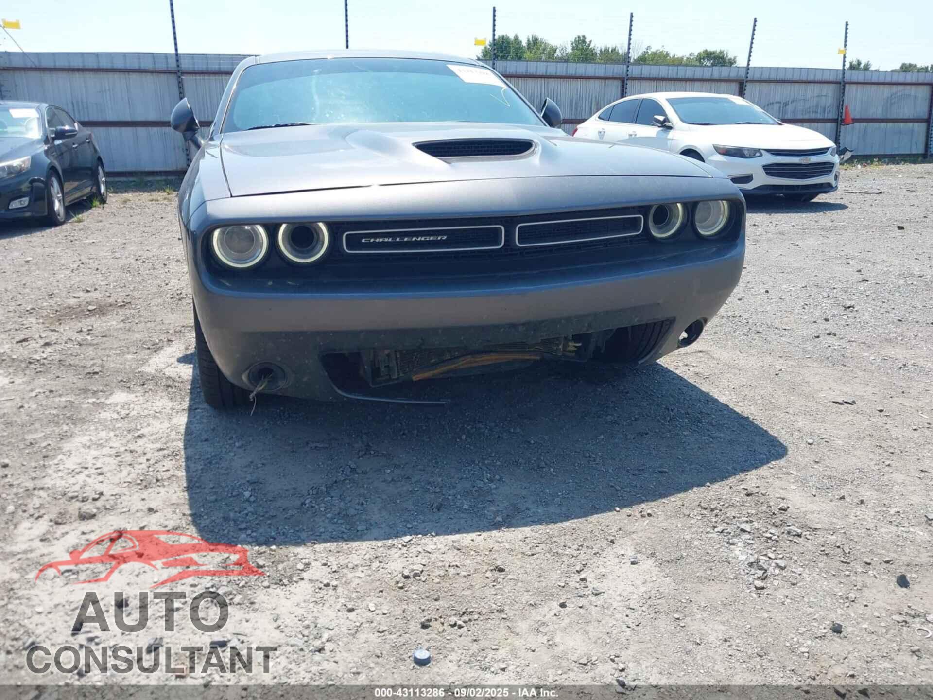 DODGE CHALLENGER 2019 - 2C3CDZBT7KH651920
