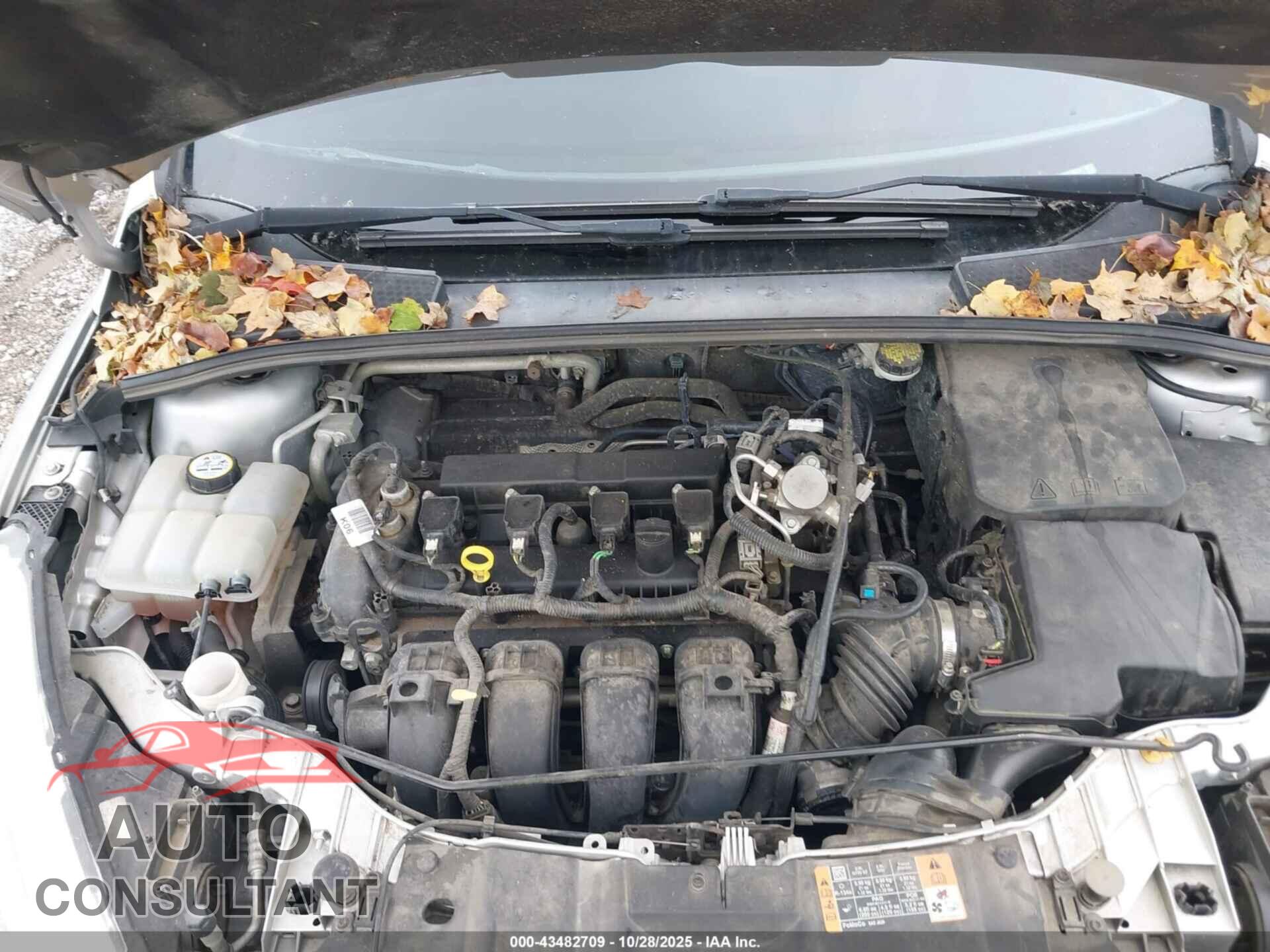FORD FOCUS 2016 - 1FADP3F25GL378854