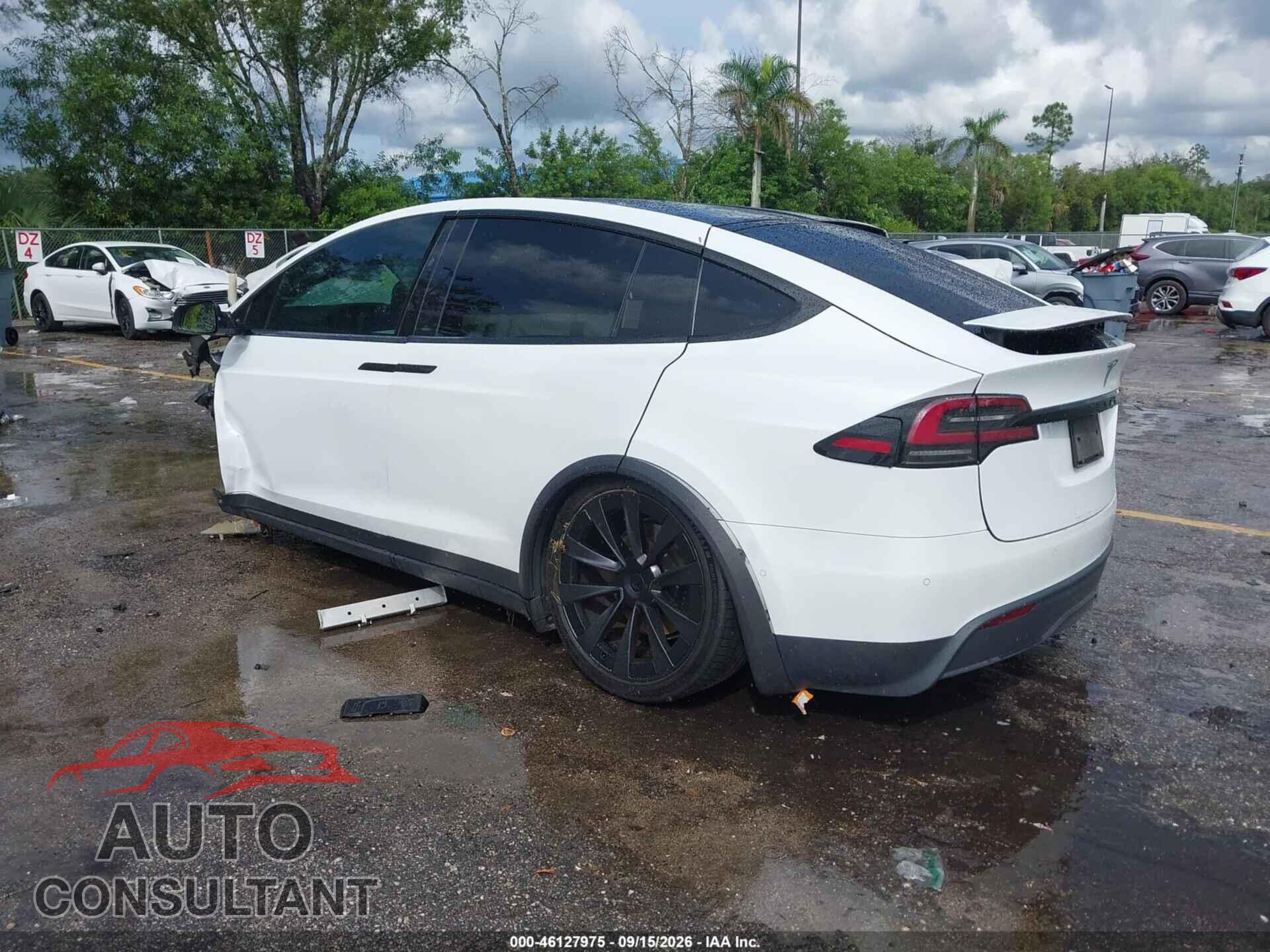 TESLA MODEL X 2023 - 7SAXCAE55PF366342