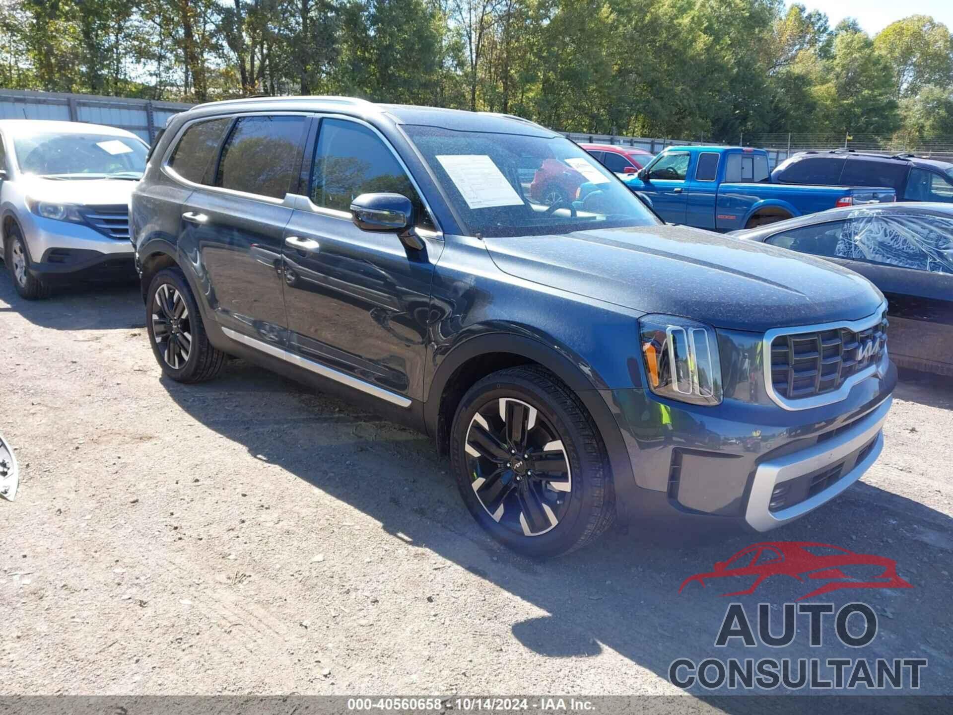 KIA TELLURIDE 2024 - 5XYP5DGC8RG501099